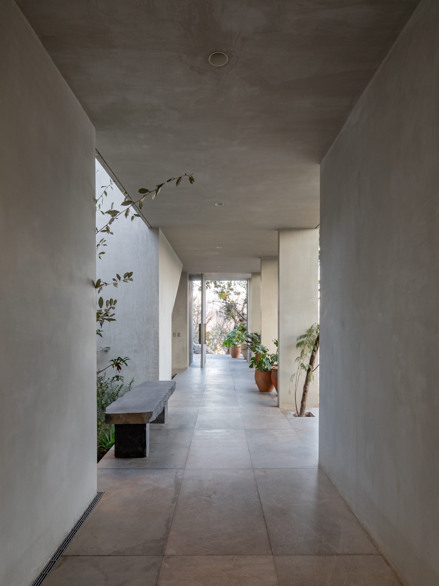 tz (11).jpg