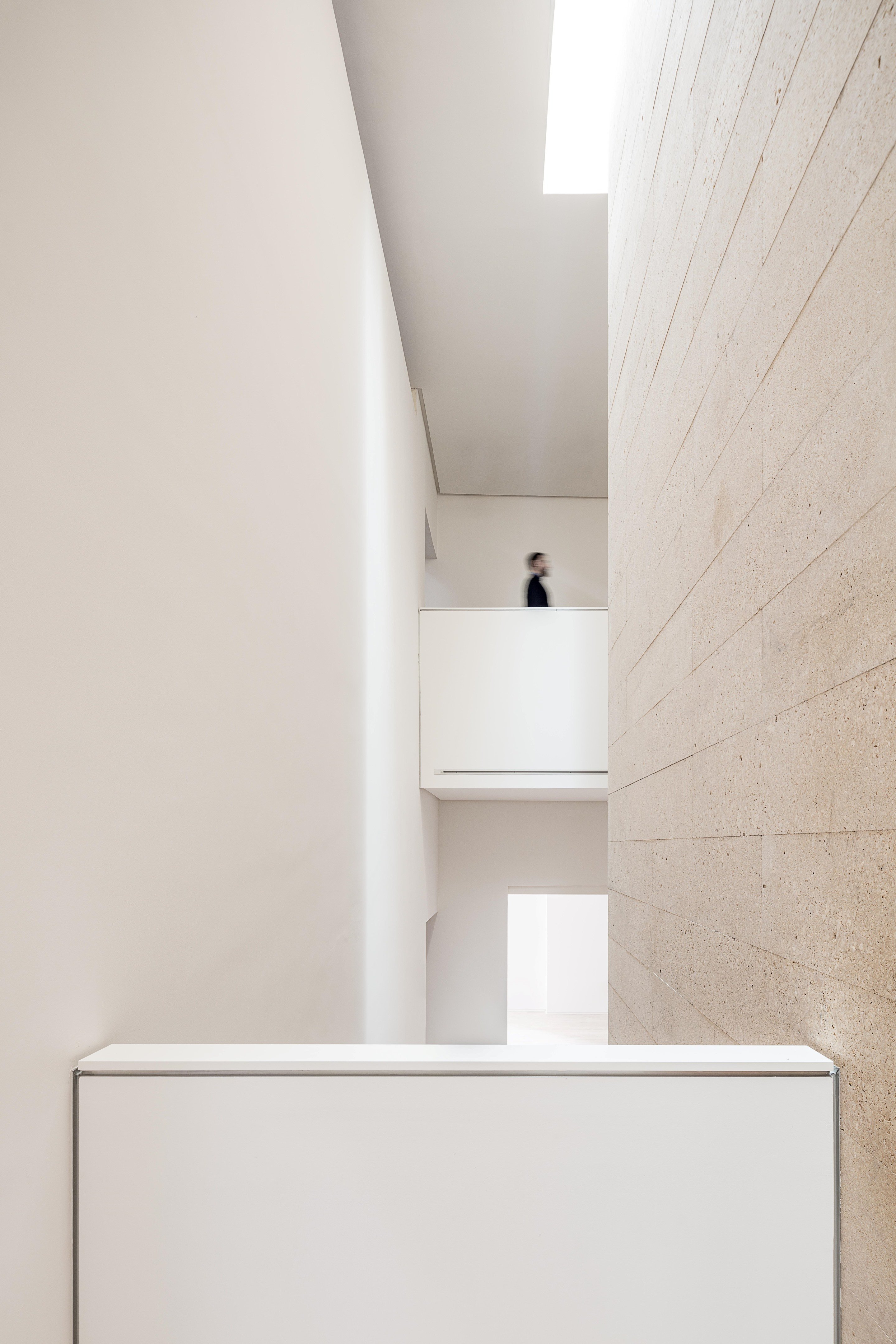 tz (10).jpg