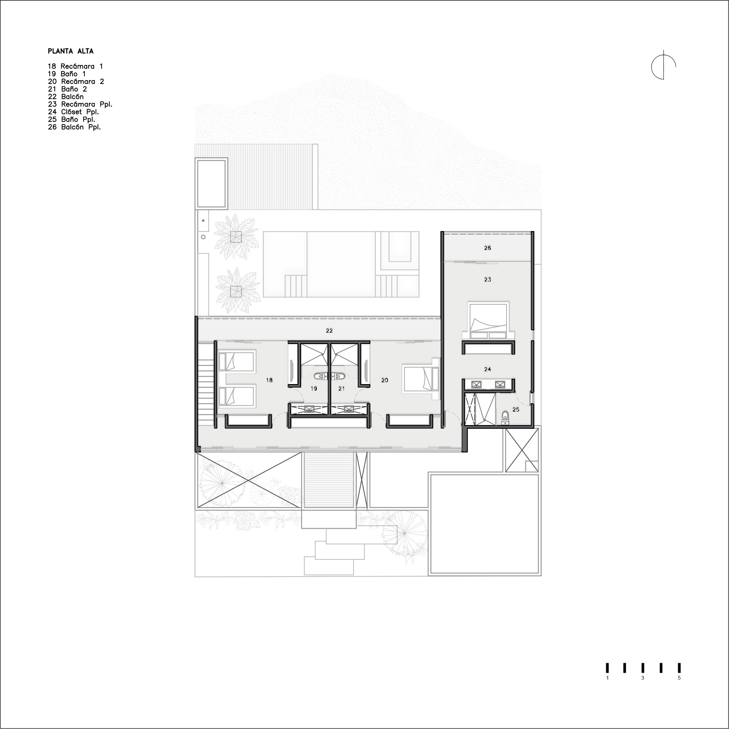 tz (2).jpg