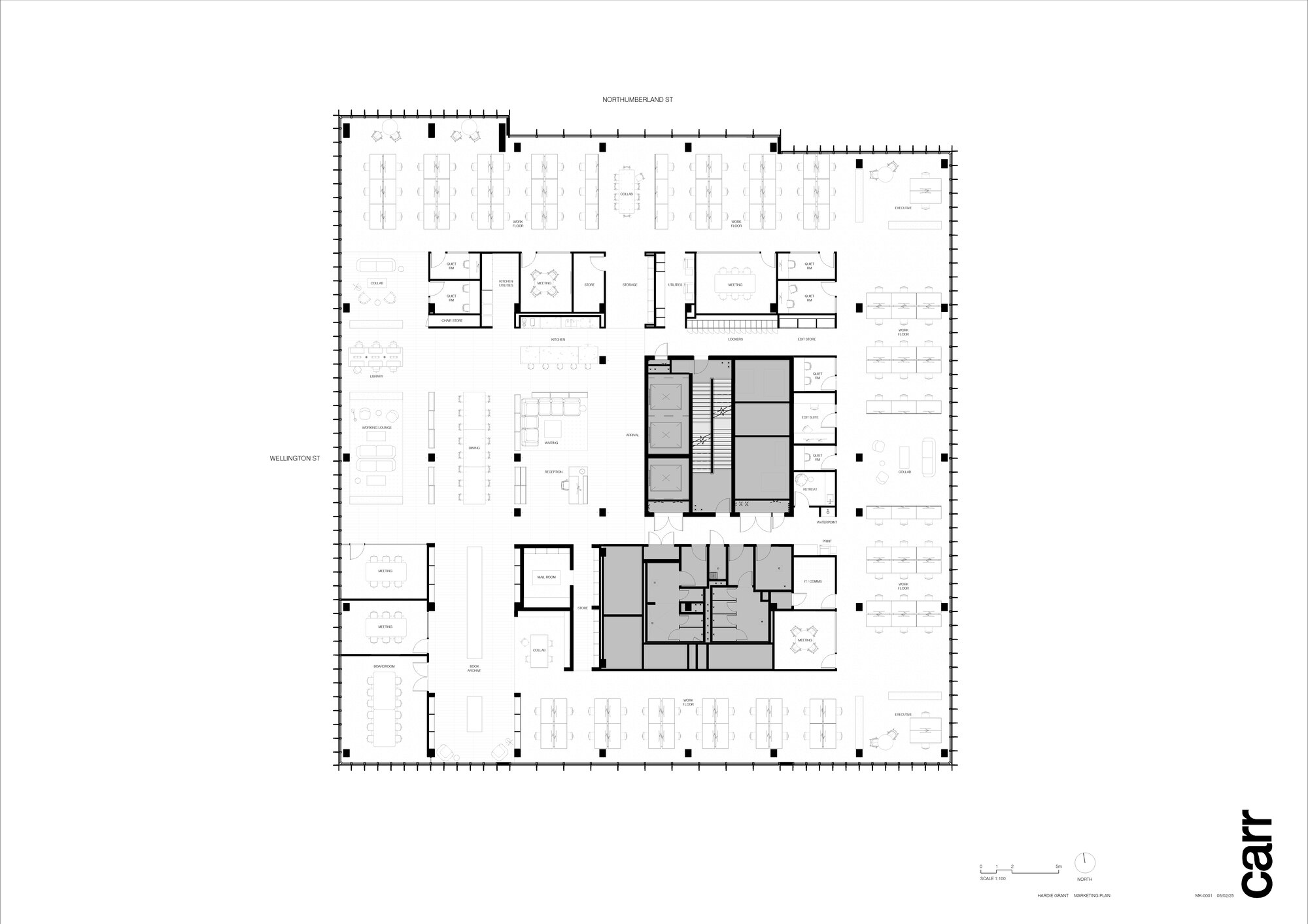 tz (1).jpg