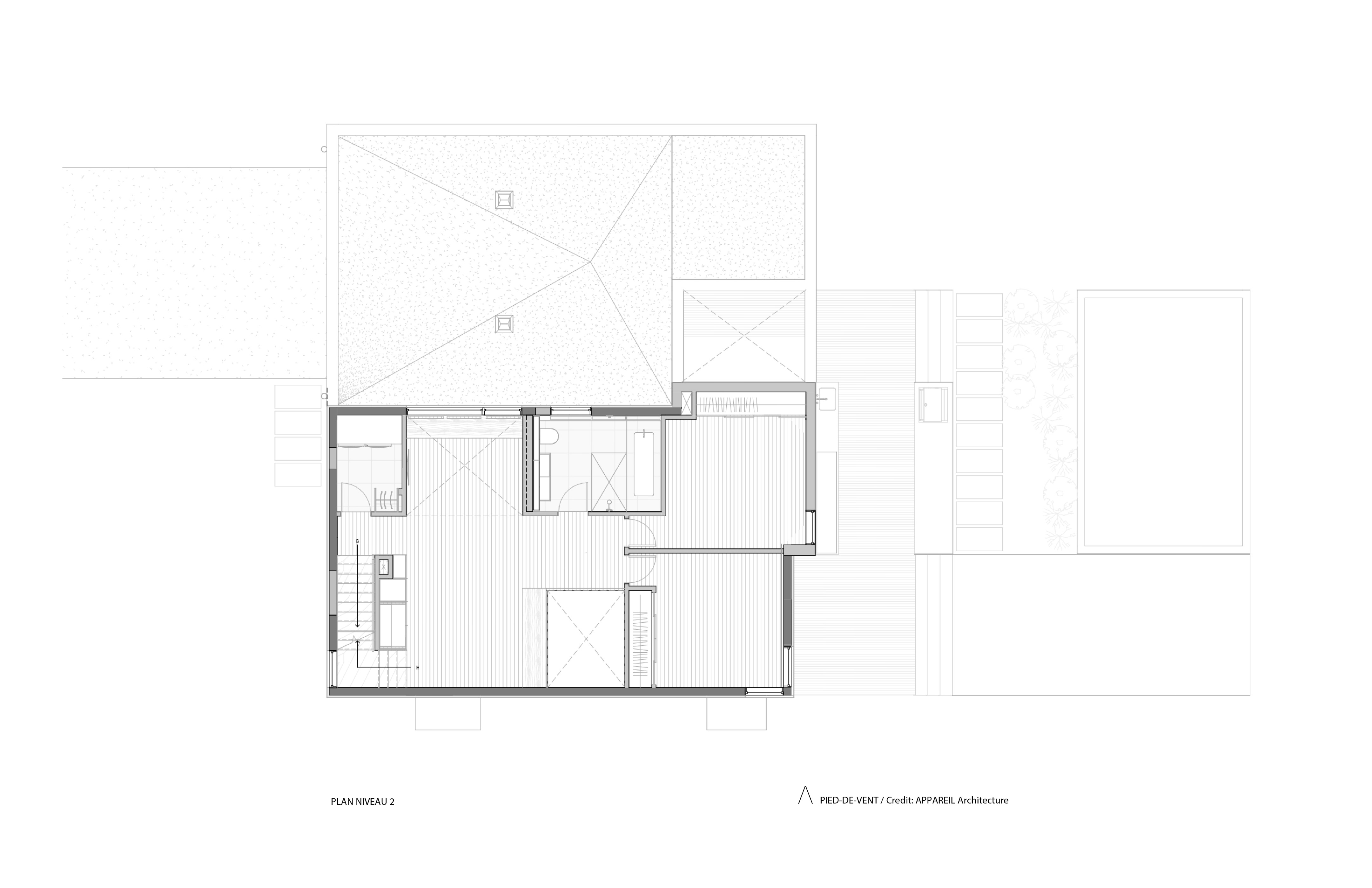 tz (2).jpg