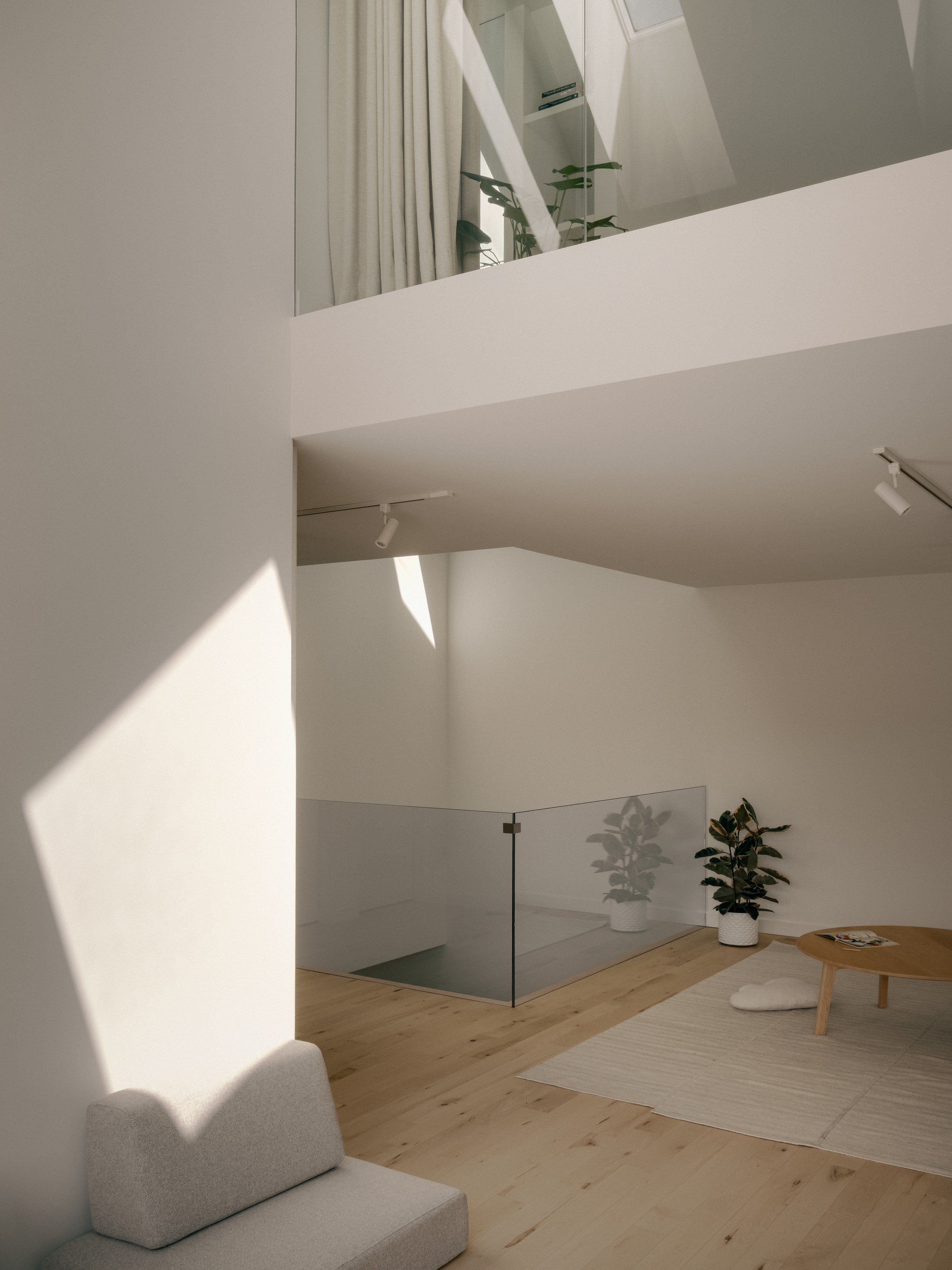 tz (10).jpg