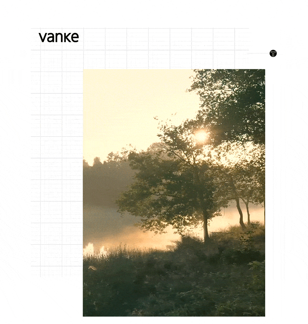 5.GIF