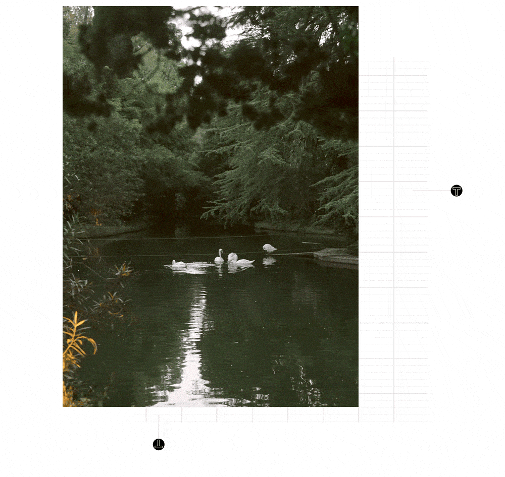7.GIF