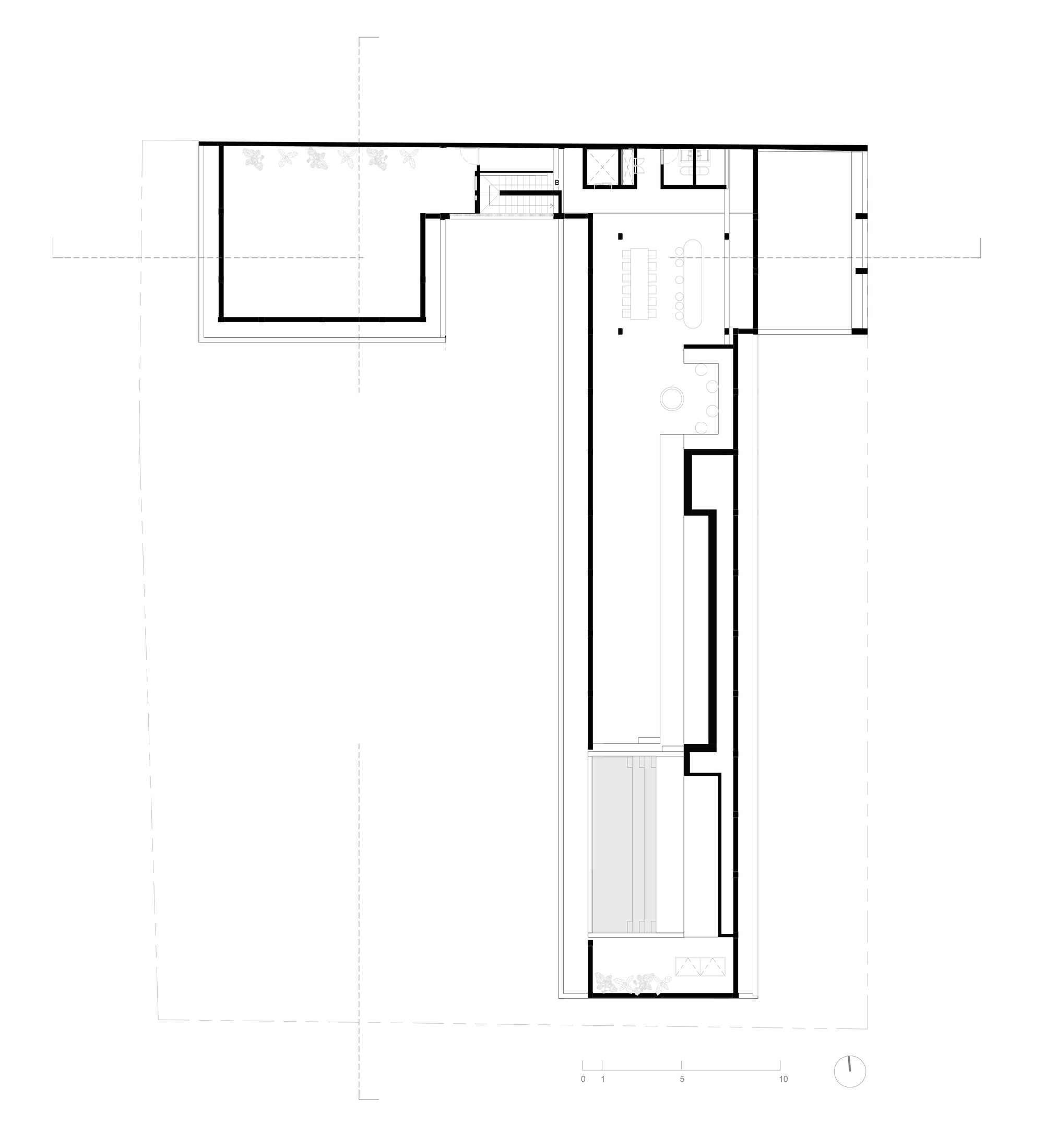 tz (4).jpg