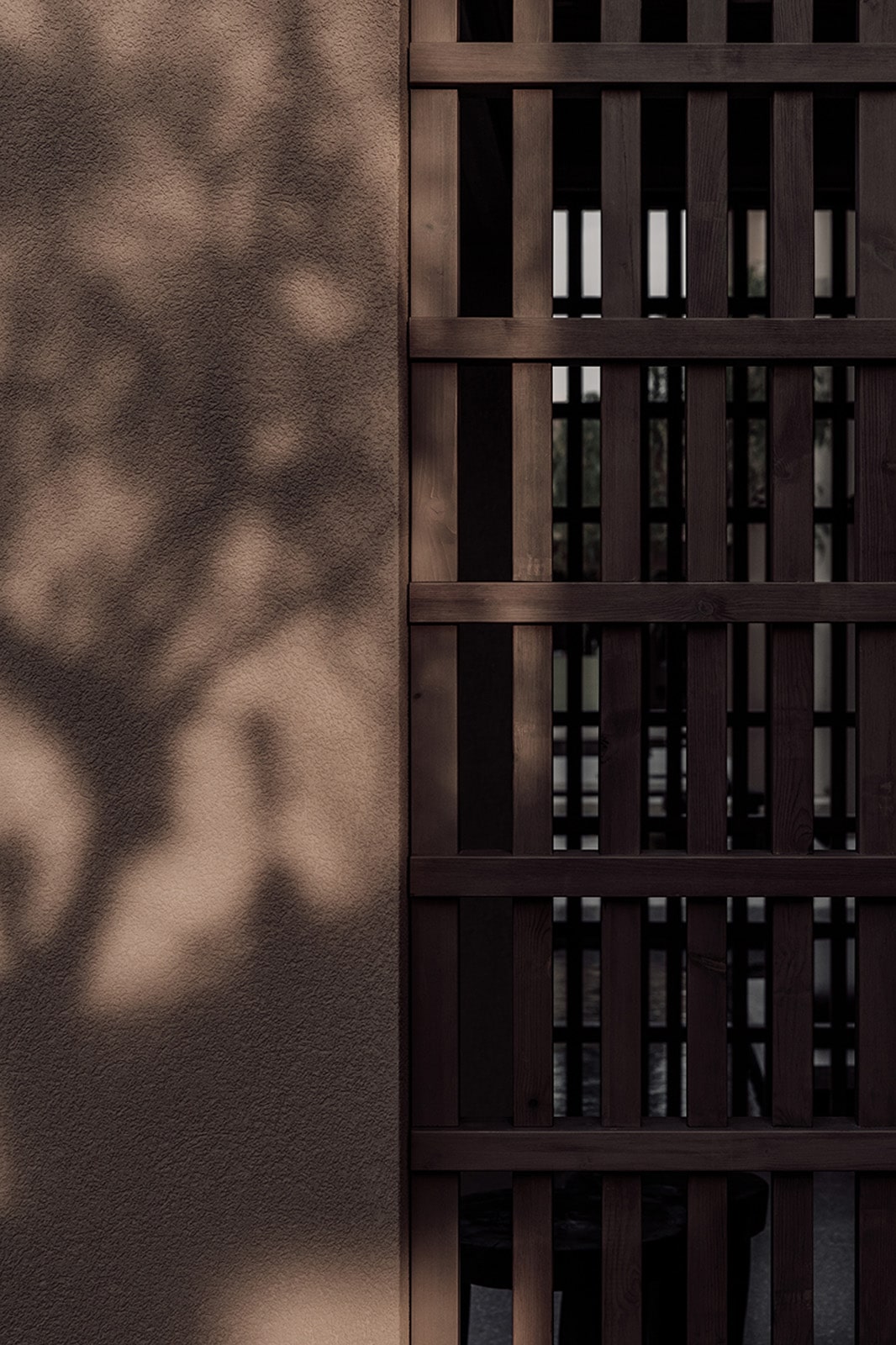 T (5).JPEG