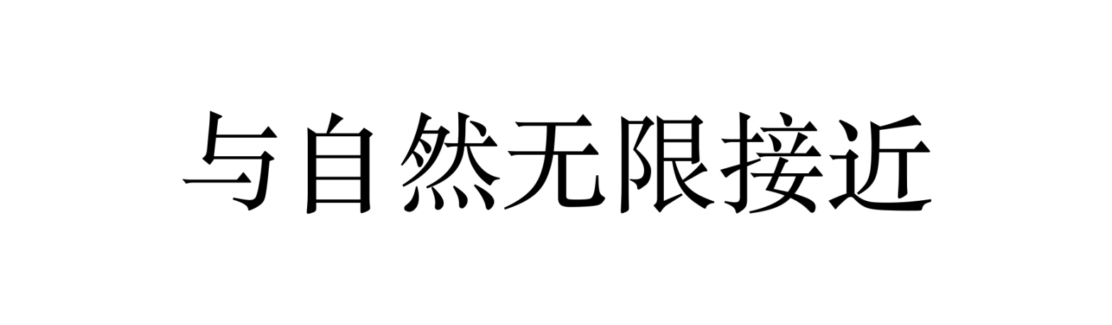 DM_20250701172619_007.jpg