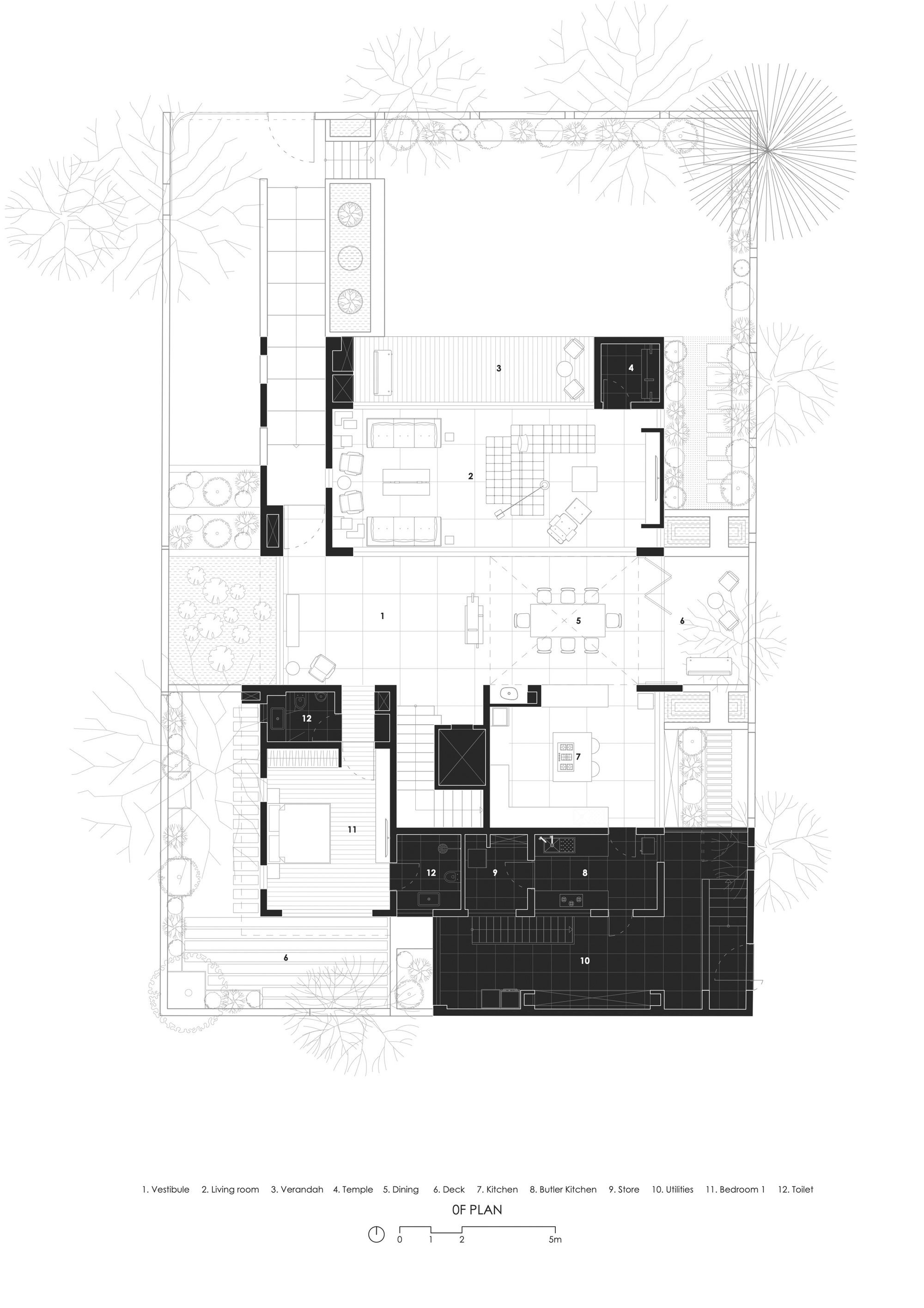 tz (1).jpg