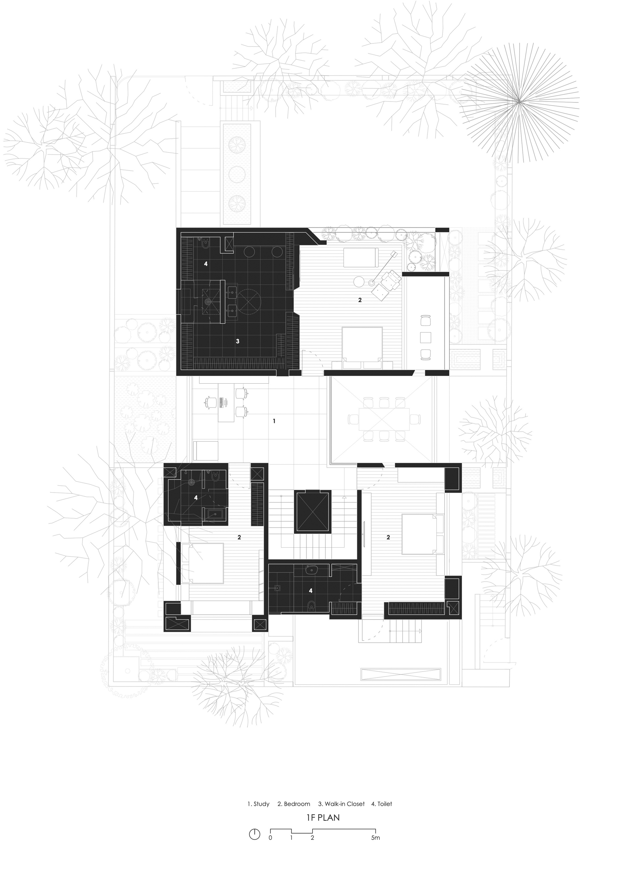 tz (2).jpg
