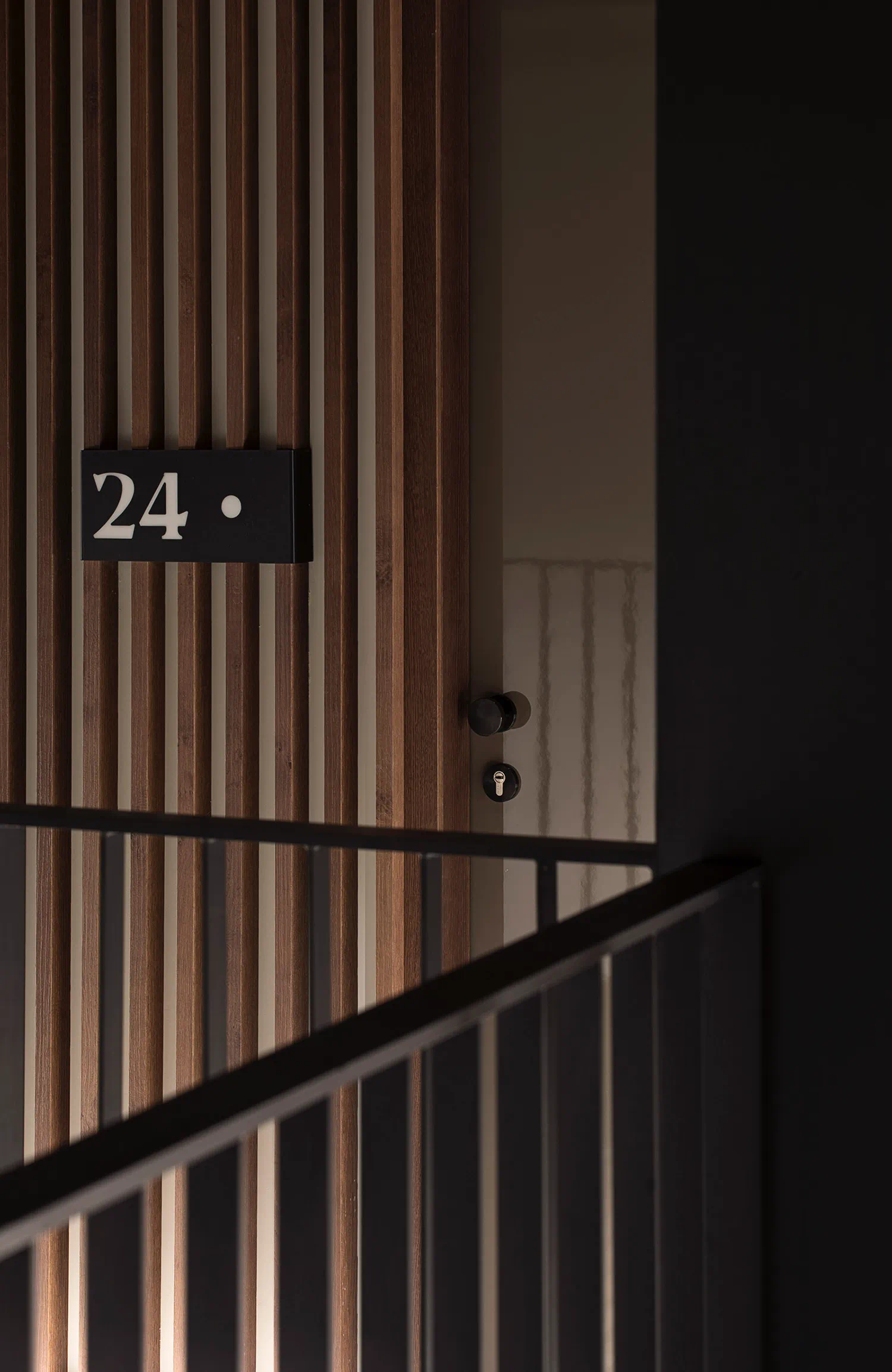 tz (12).jpg