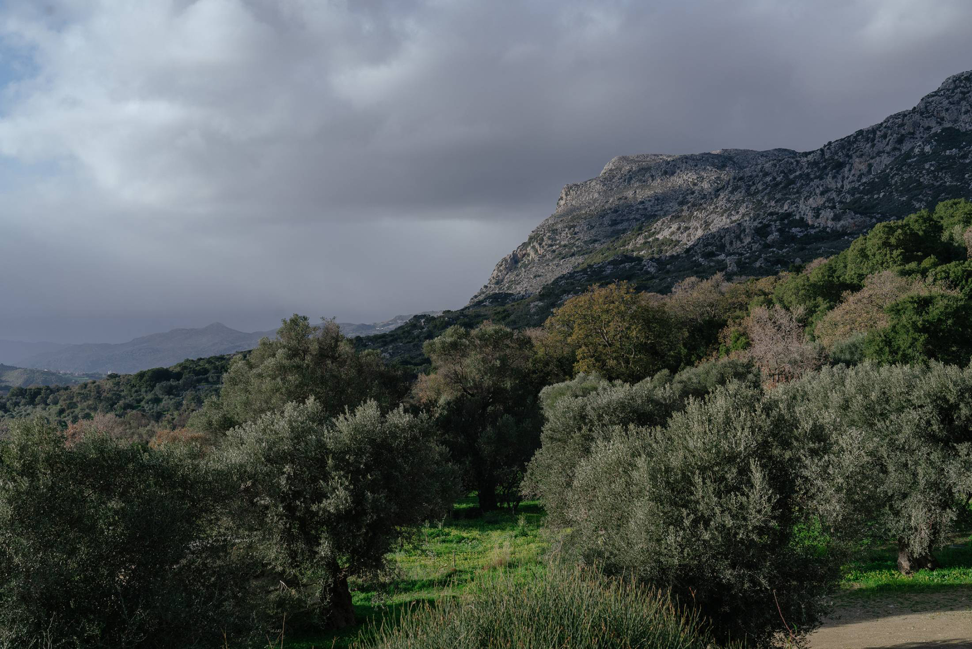 tz (12).jpg