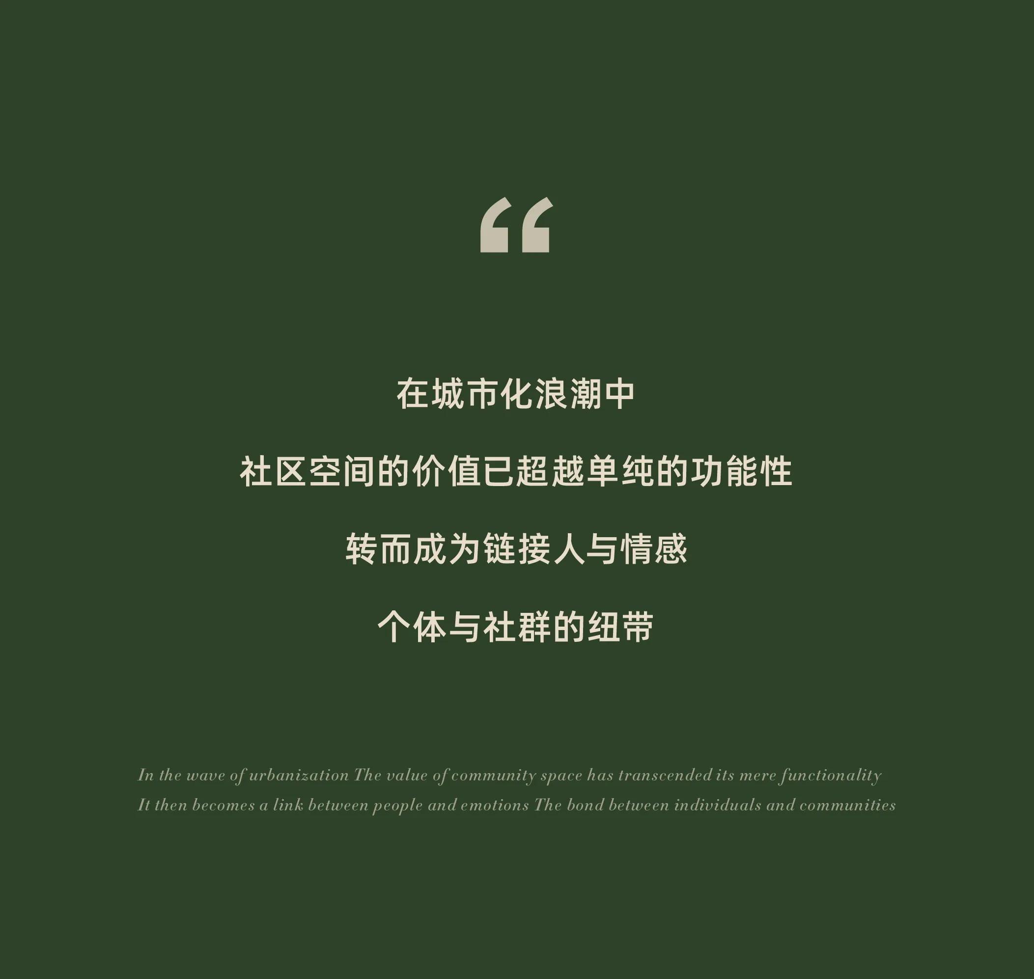 tz (1).JPG