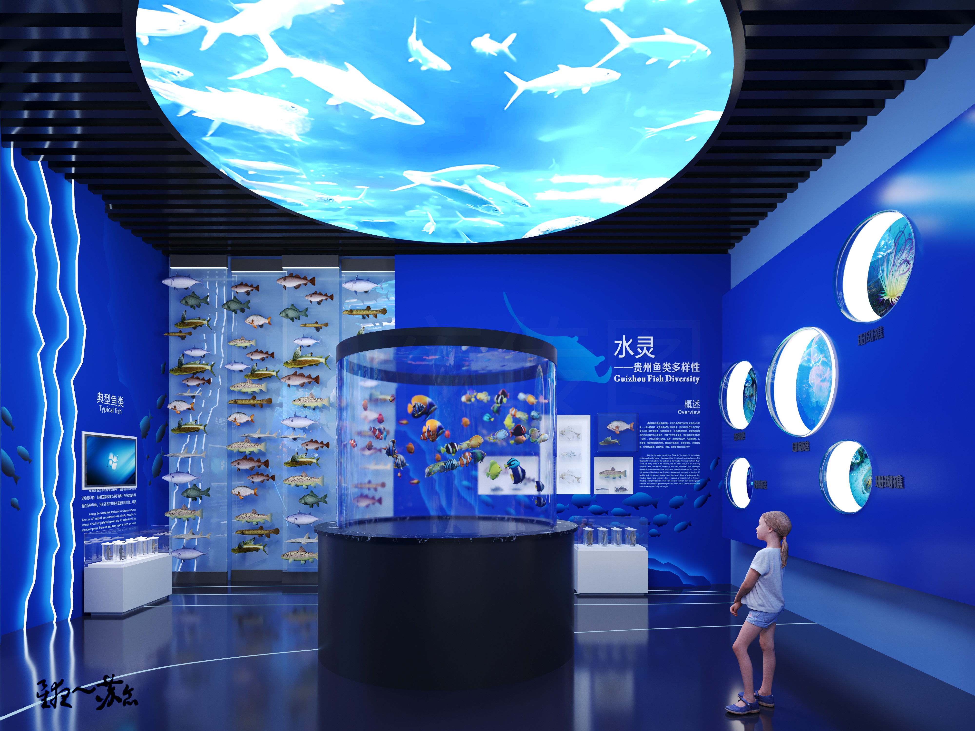 18655757116 (4).jpg