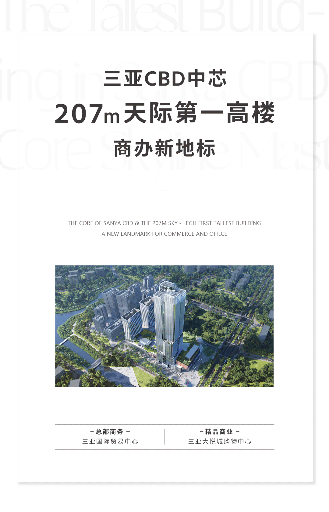 tz (1).GIF