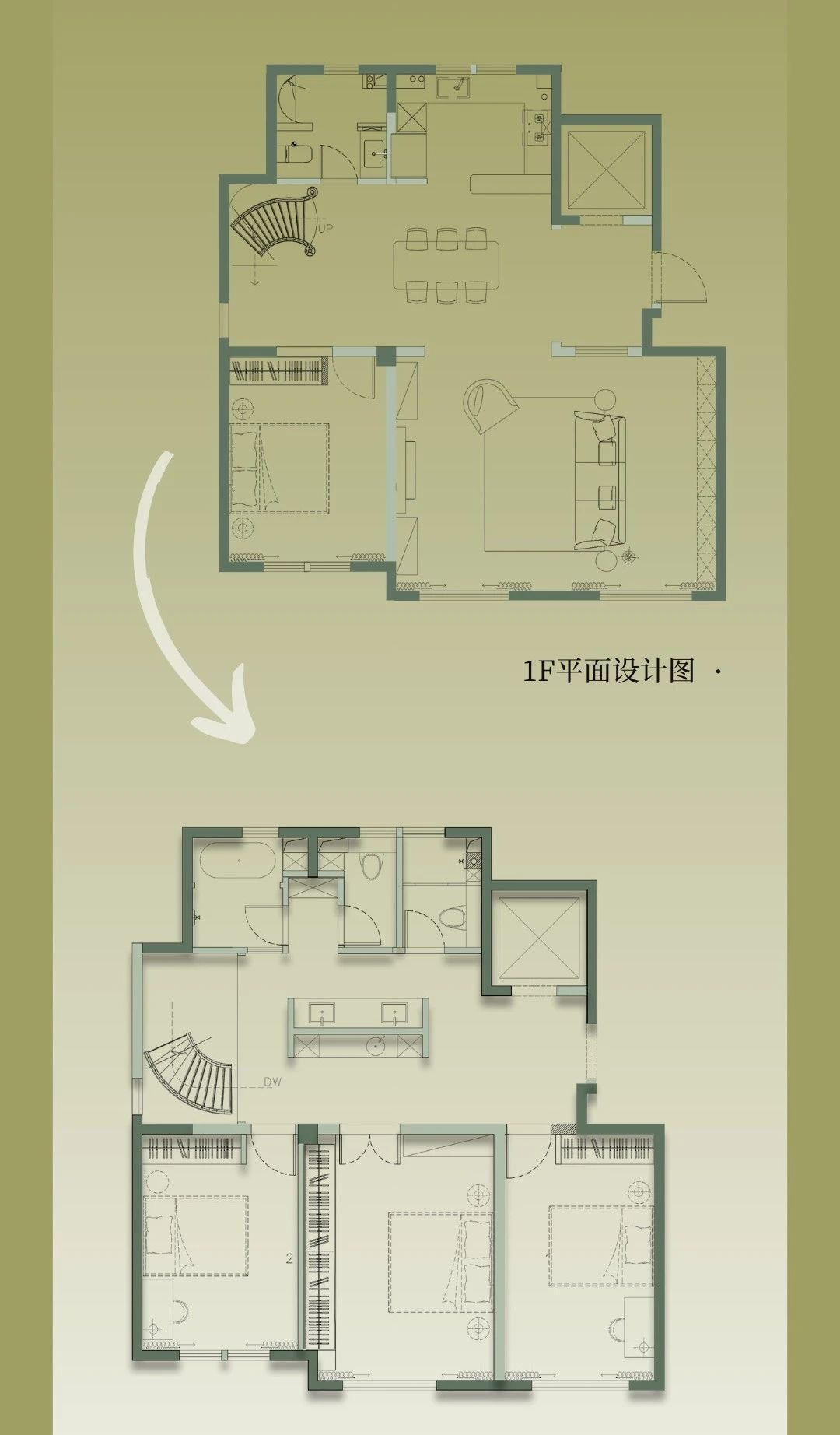 tz (3a).JPG