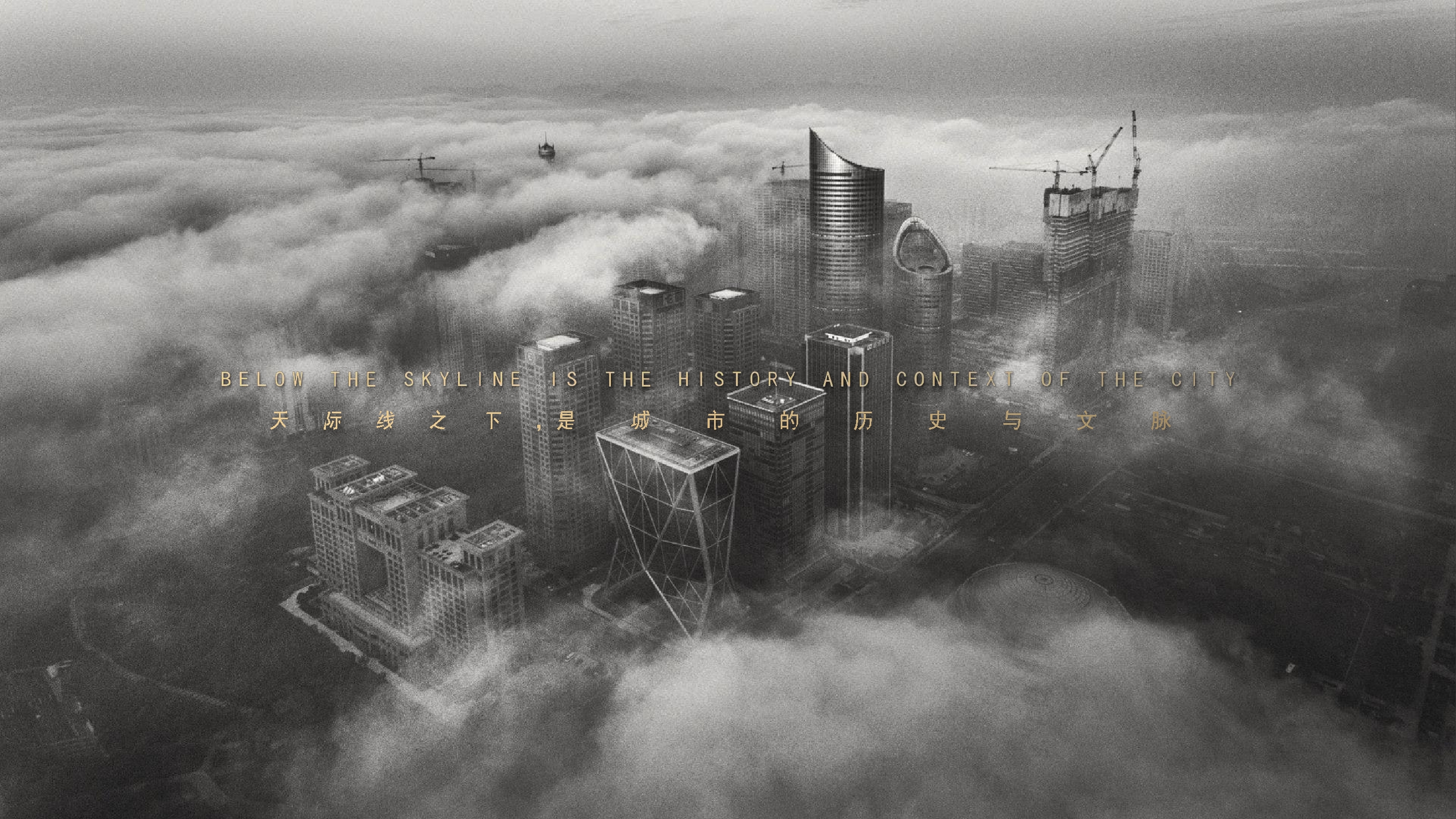 05.jpg