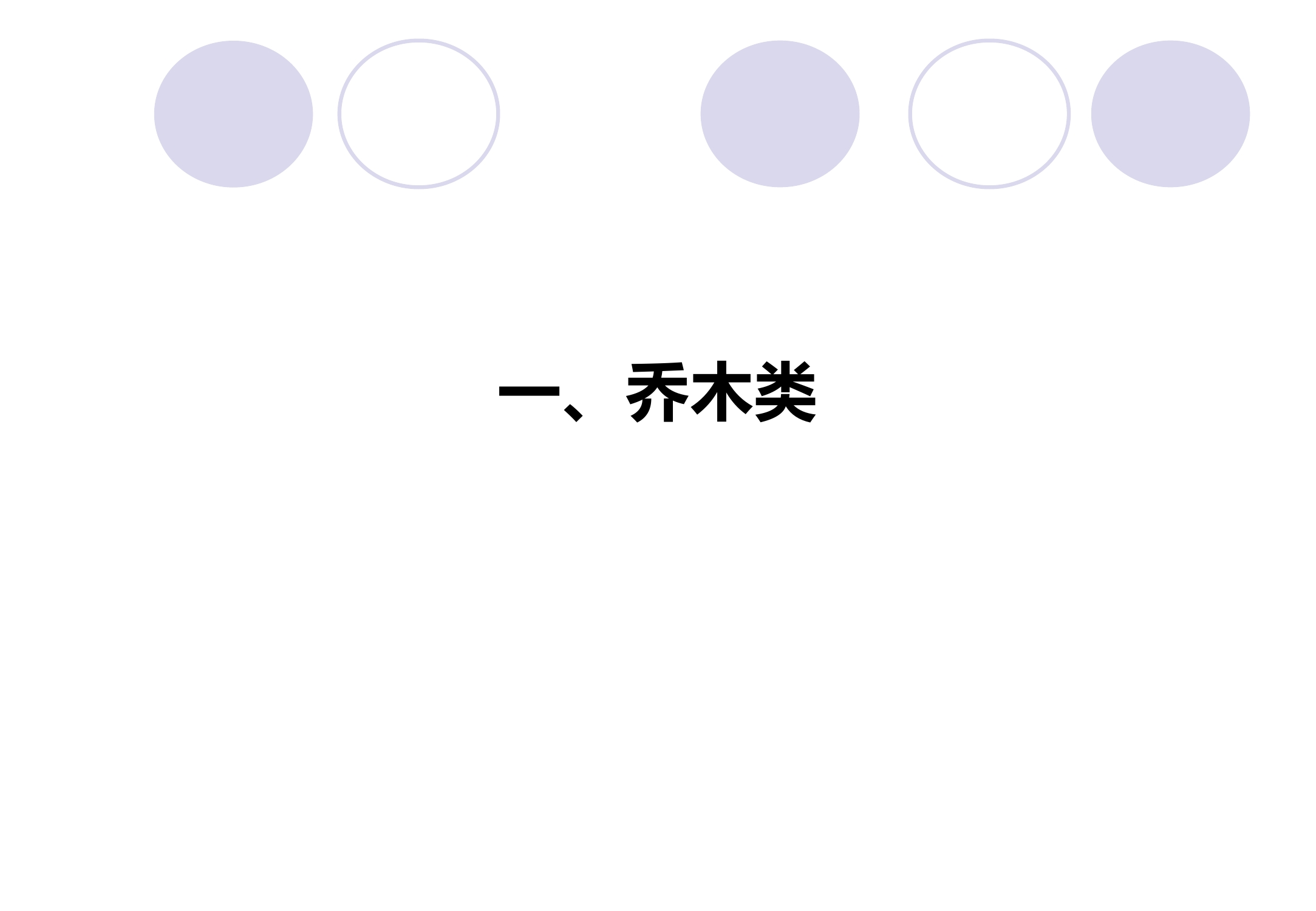 ҳ07.jpg