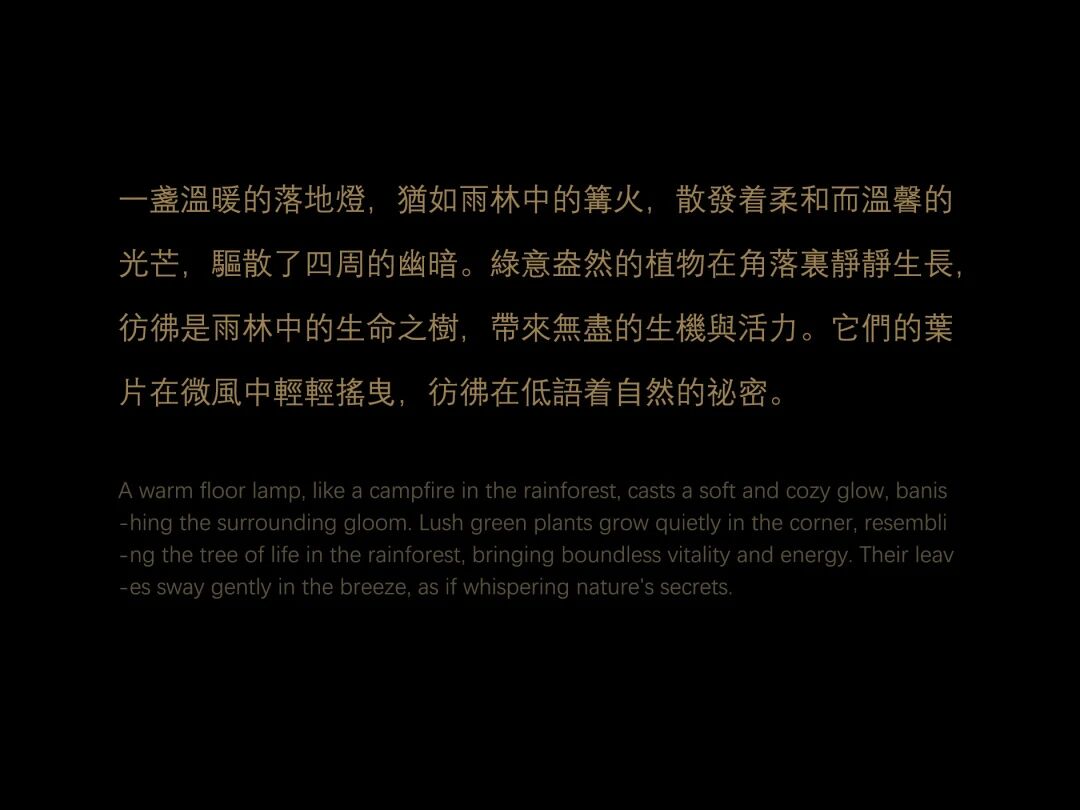 tz (11).JPEG