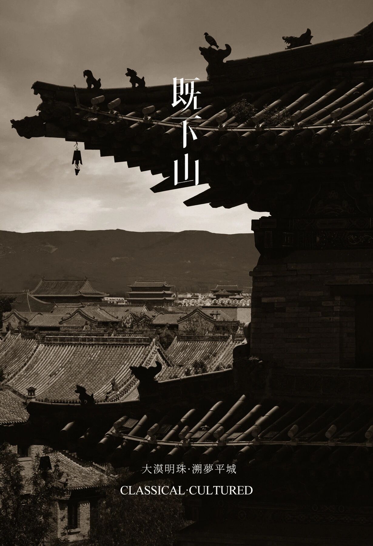 tz (1).JPEG tz (1).JPEG