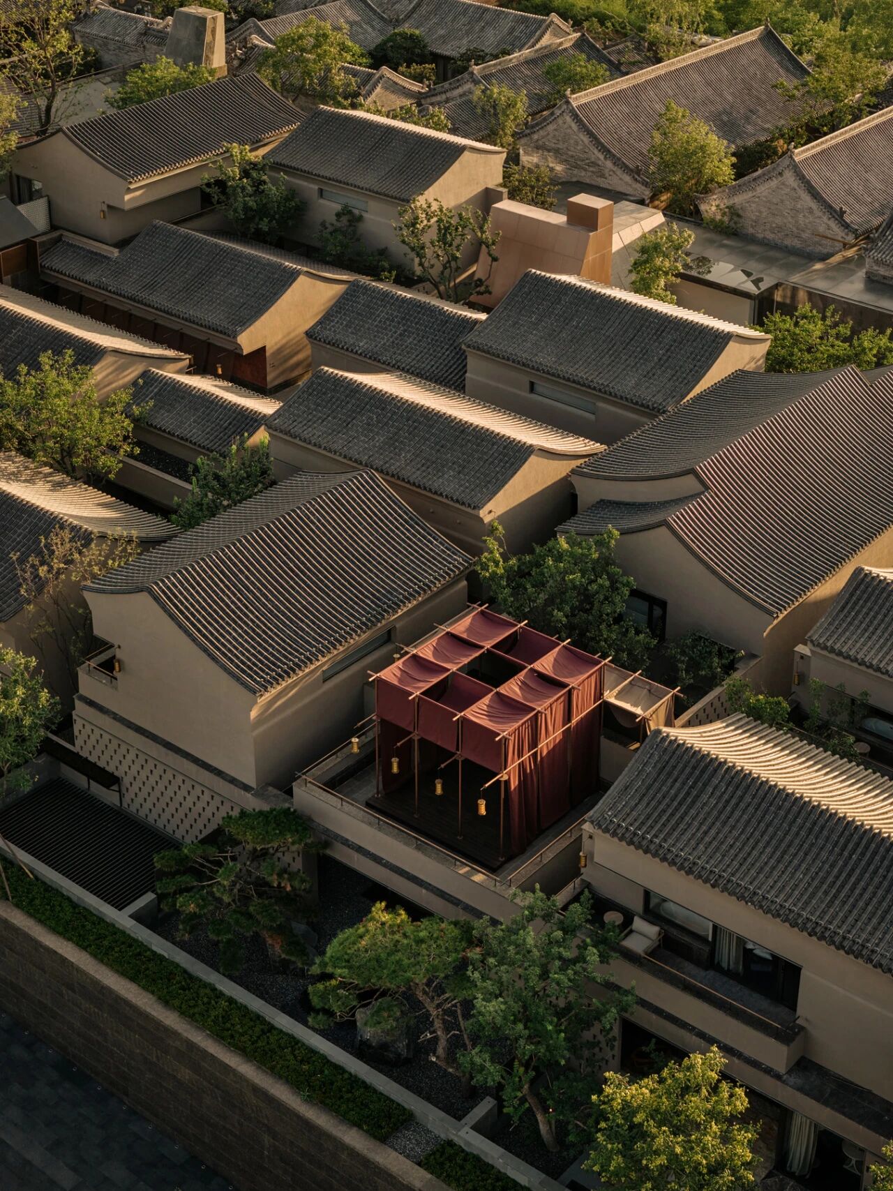 tz (5).JPEG tz (5).JPEG