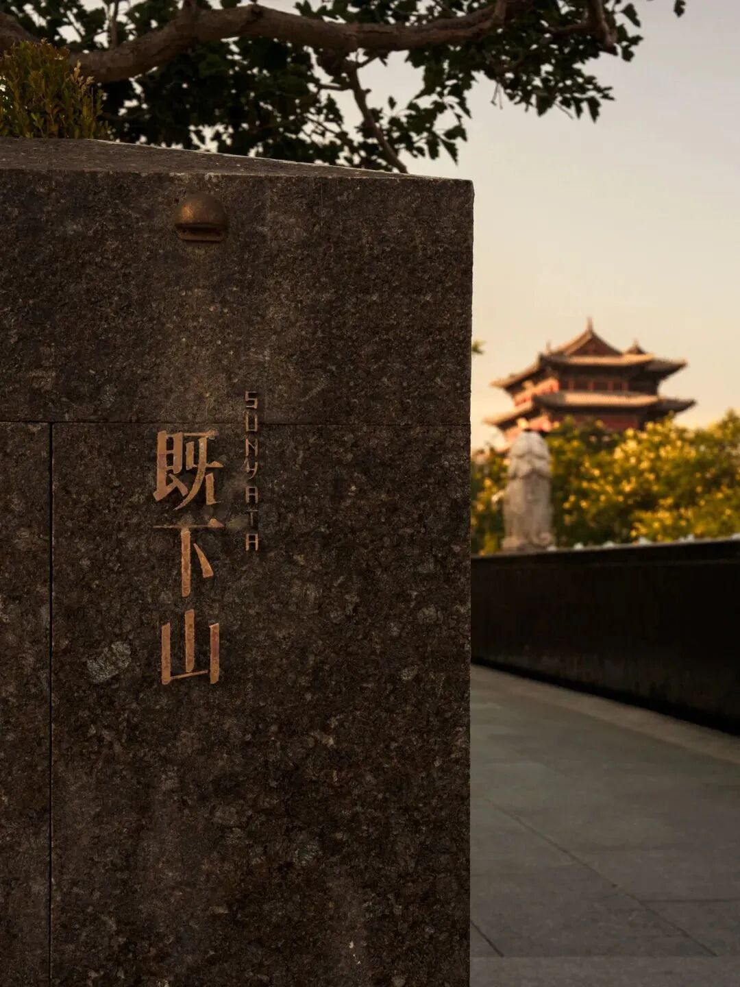 tz (9).JPEG tz (9).JPEG