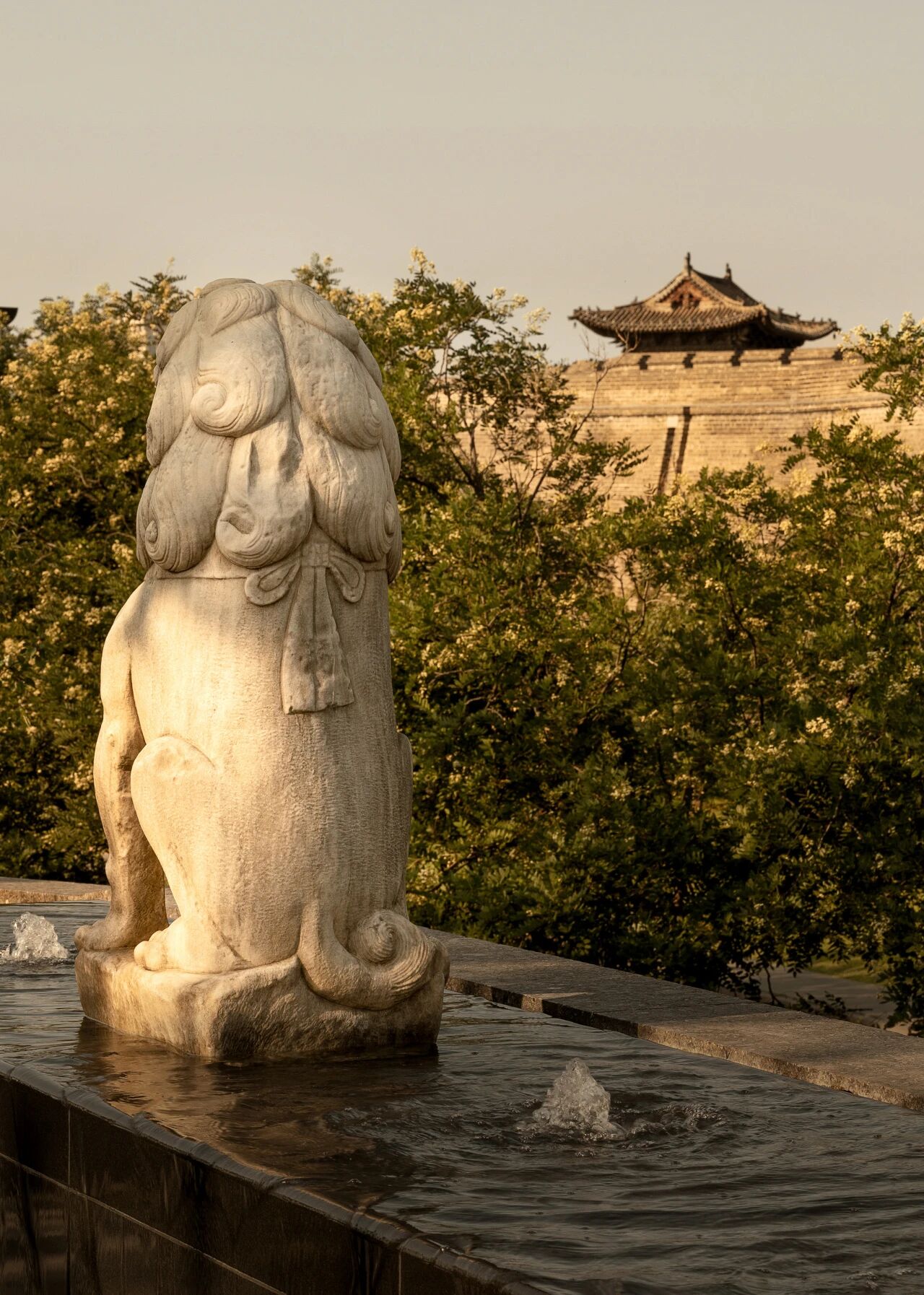 tz (10).JPEG tz (10).JPEG