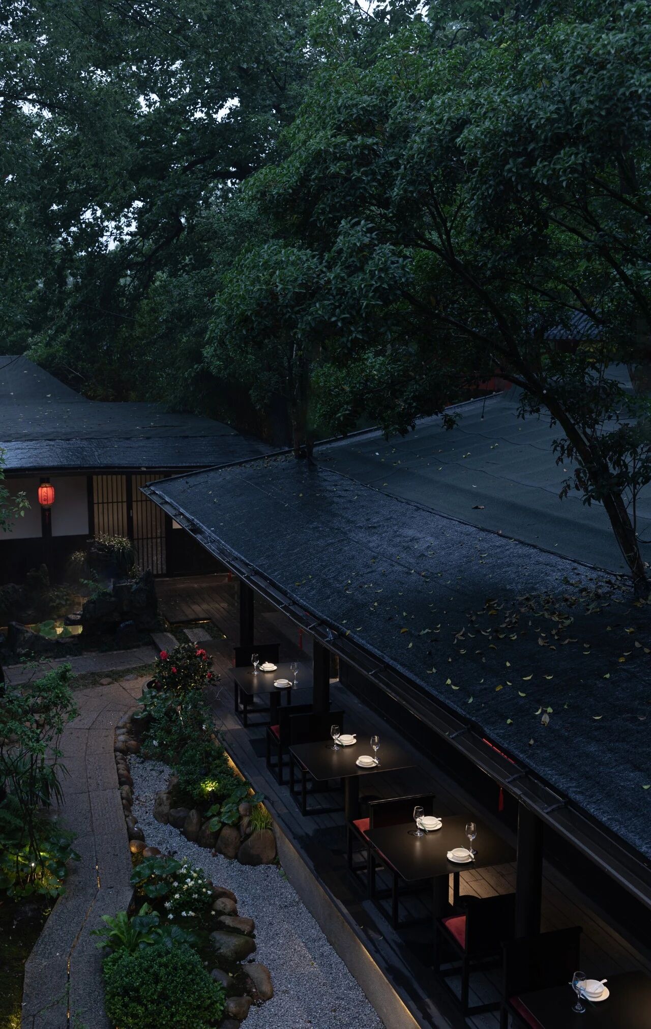 tz (1).JPEG tz (1).JPEG