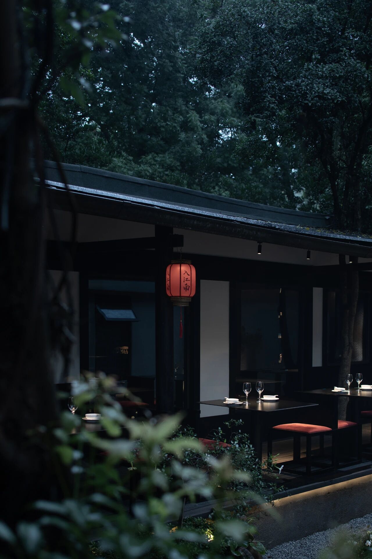 tz (3).JPEG tz (3).JPEG