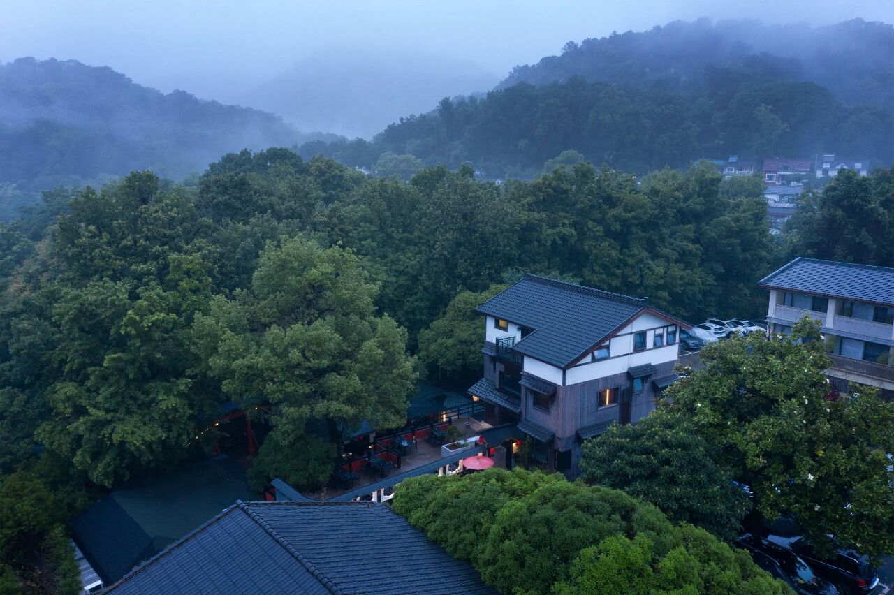 tz (4).JPEG tz (4).JPEG