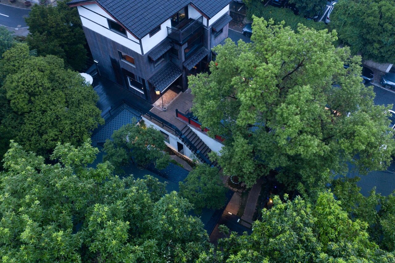 tz (5).JPEG tz (5).JPEG