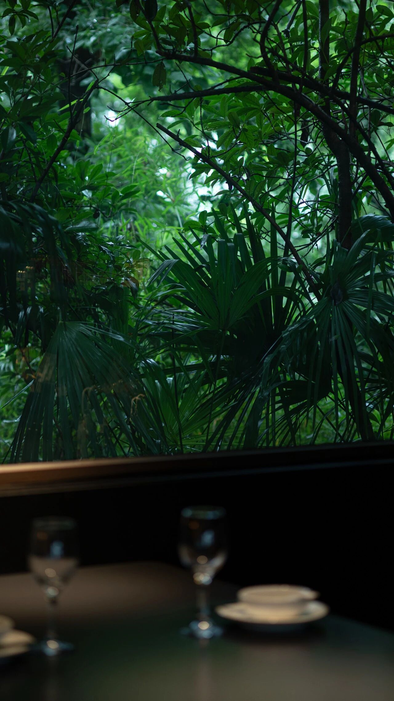 tz (10).JPEG tz (10).JPEG