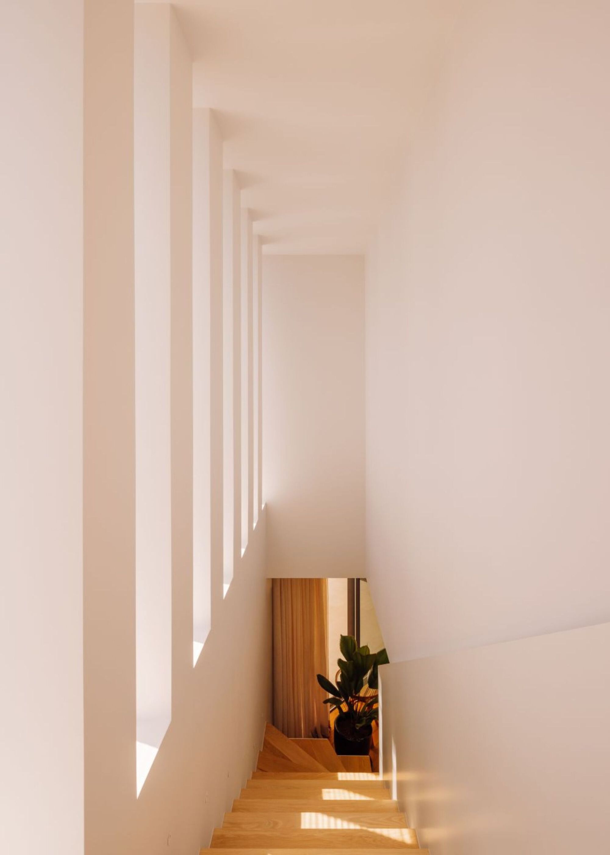T (10).jpg
