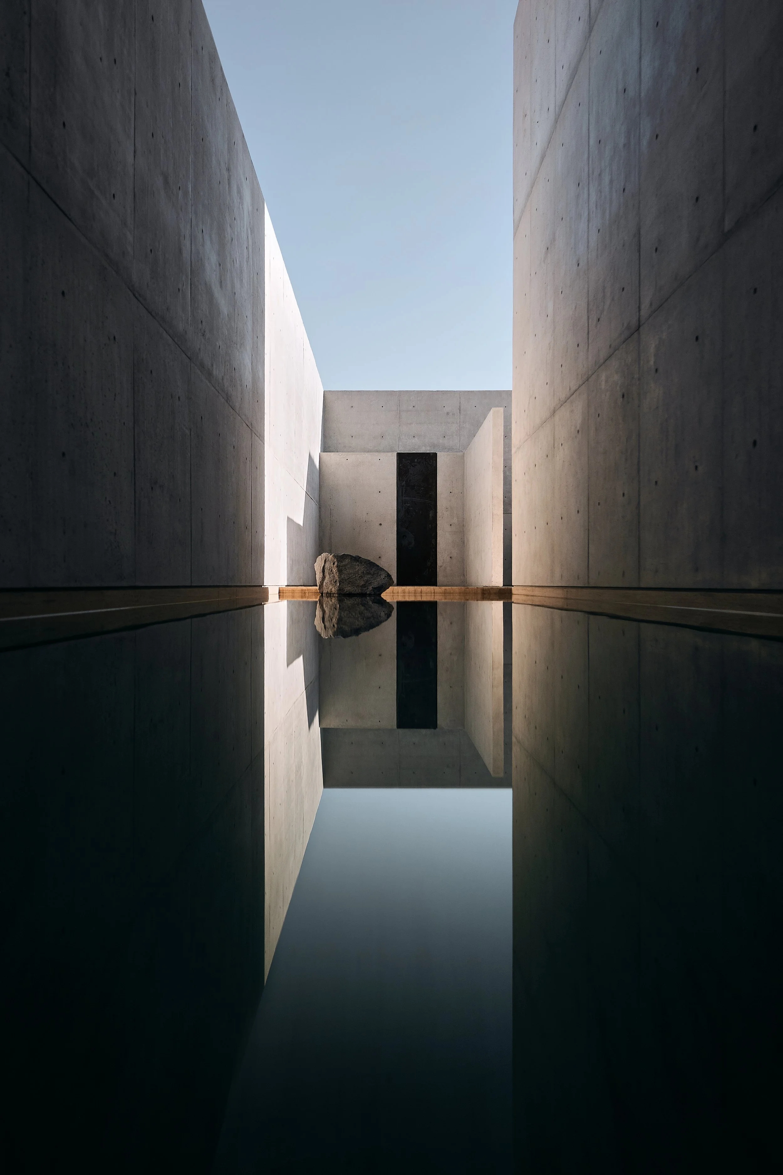 T (6).jpg