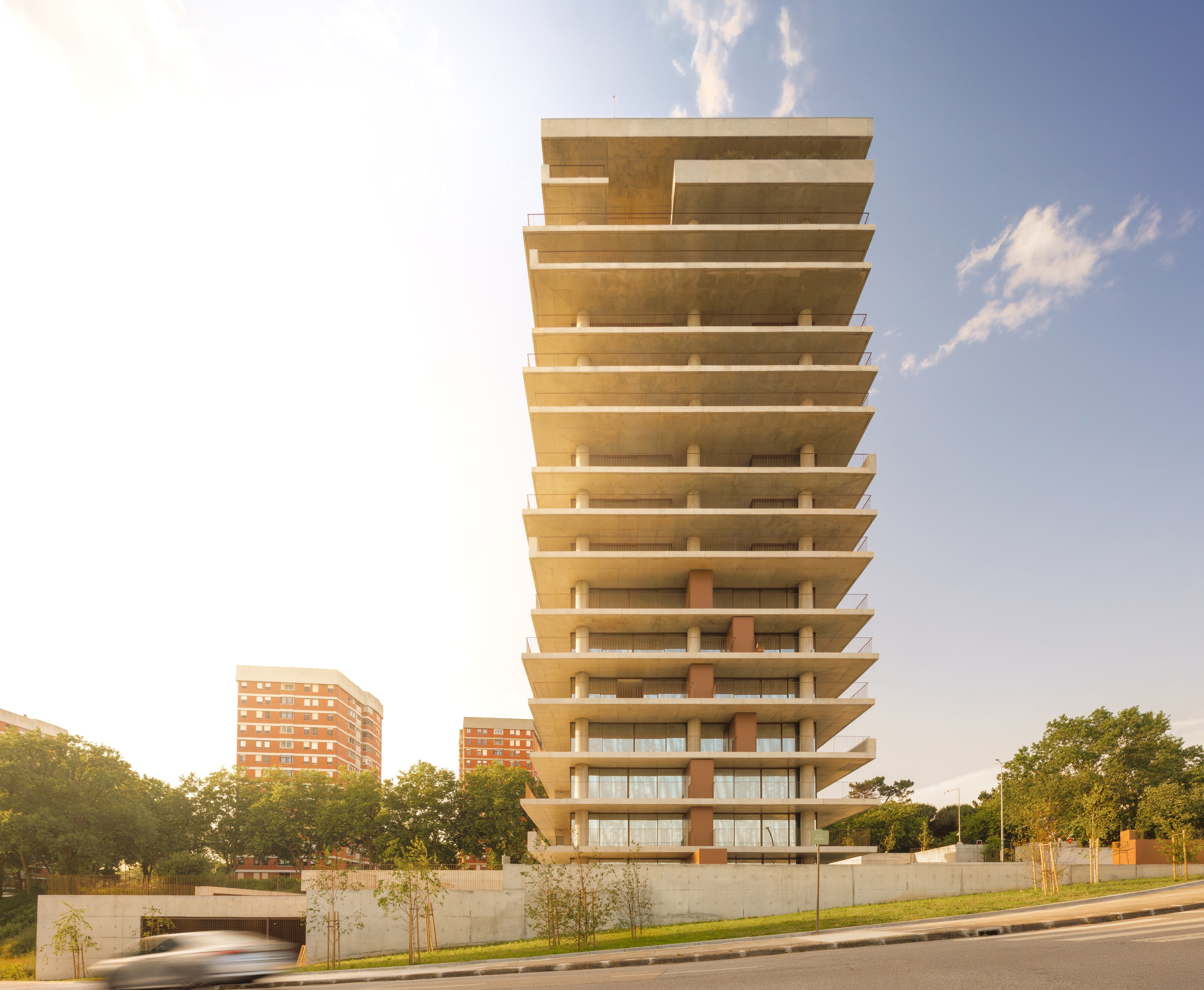 tz (1).jpg tz (1).jpg