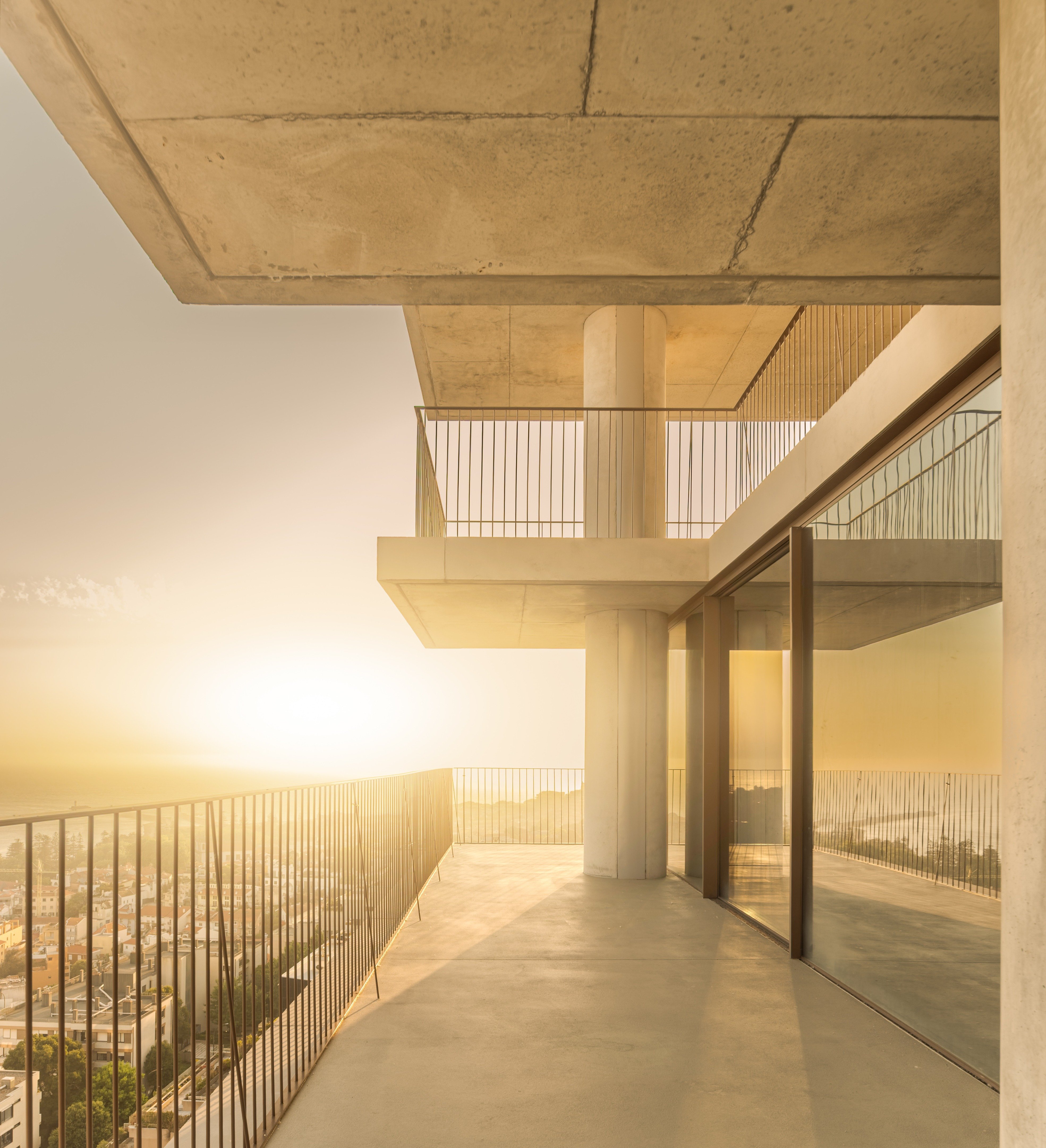 tz (10).jpg tz (10).jpg