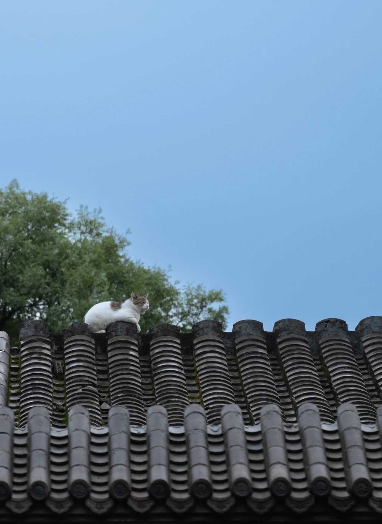 DM_20251023192201_003.JPEG DM_20251023192201_003.JPEG