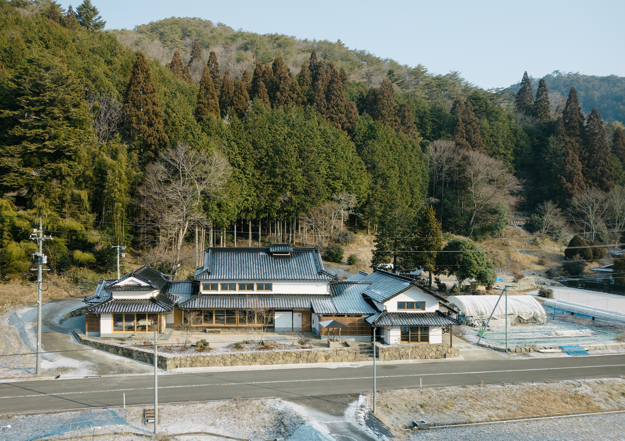 tz (1).jpg tz (1).jpg