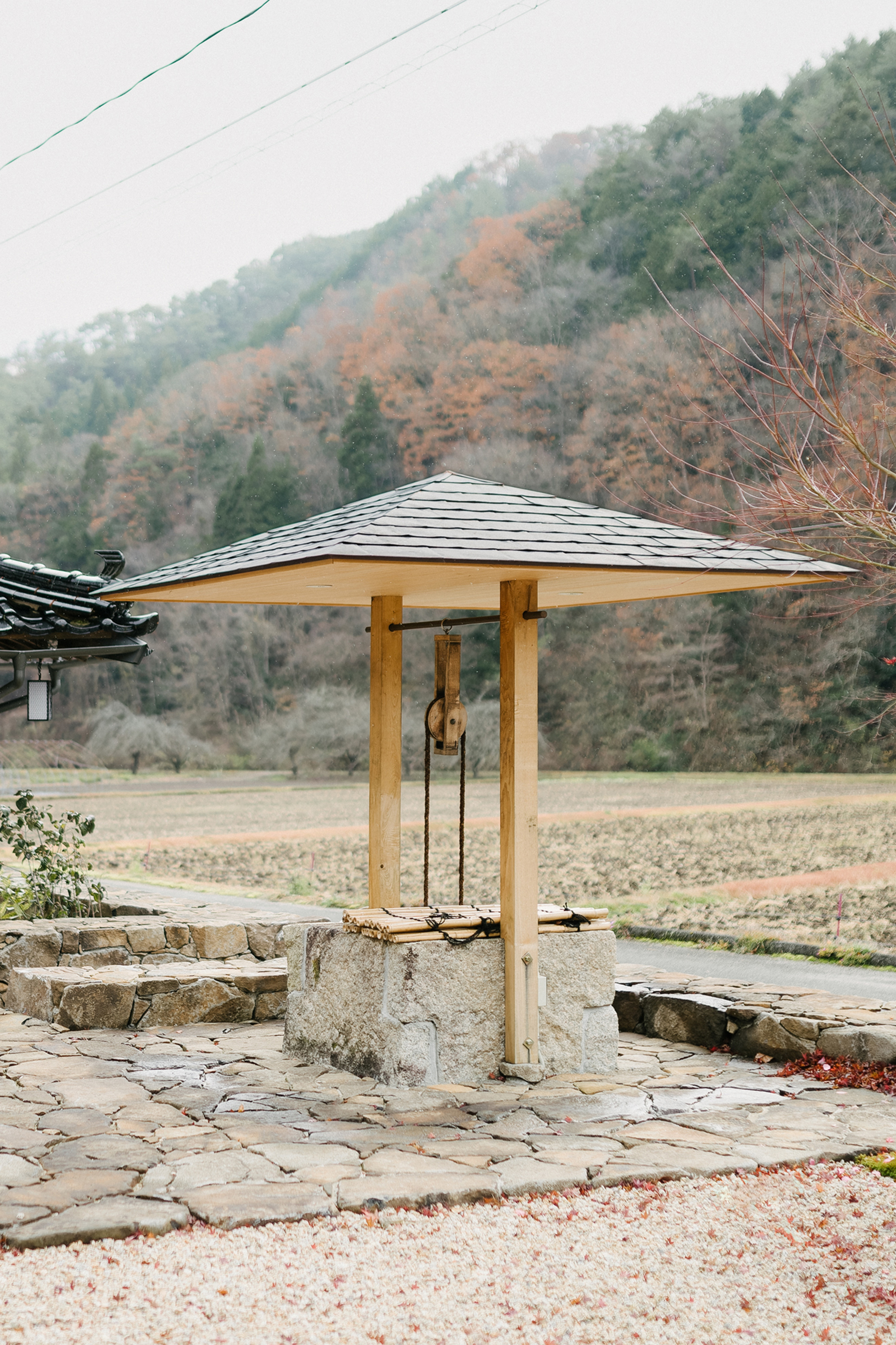 tz (3).jpg tz (3).jpg