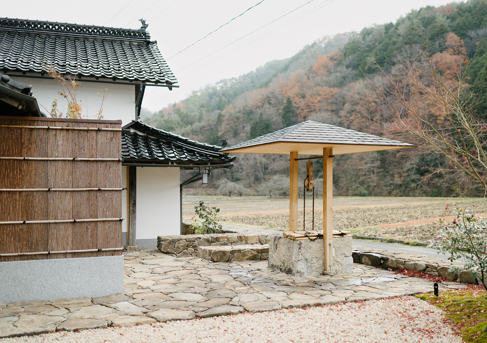 tz (4).jpg tz (4).jpg