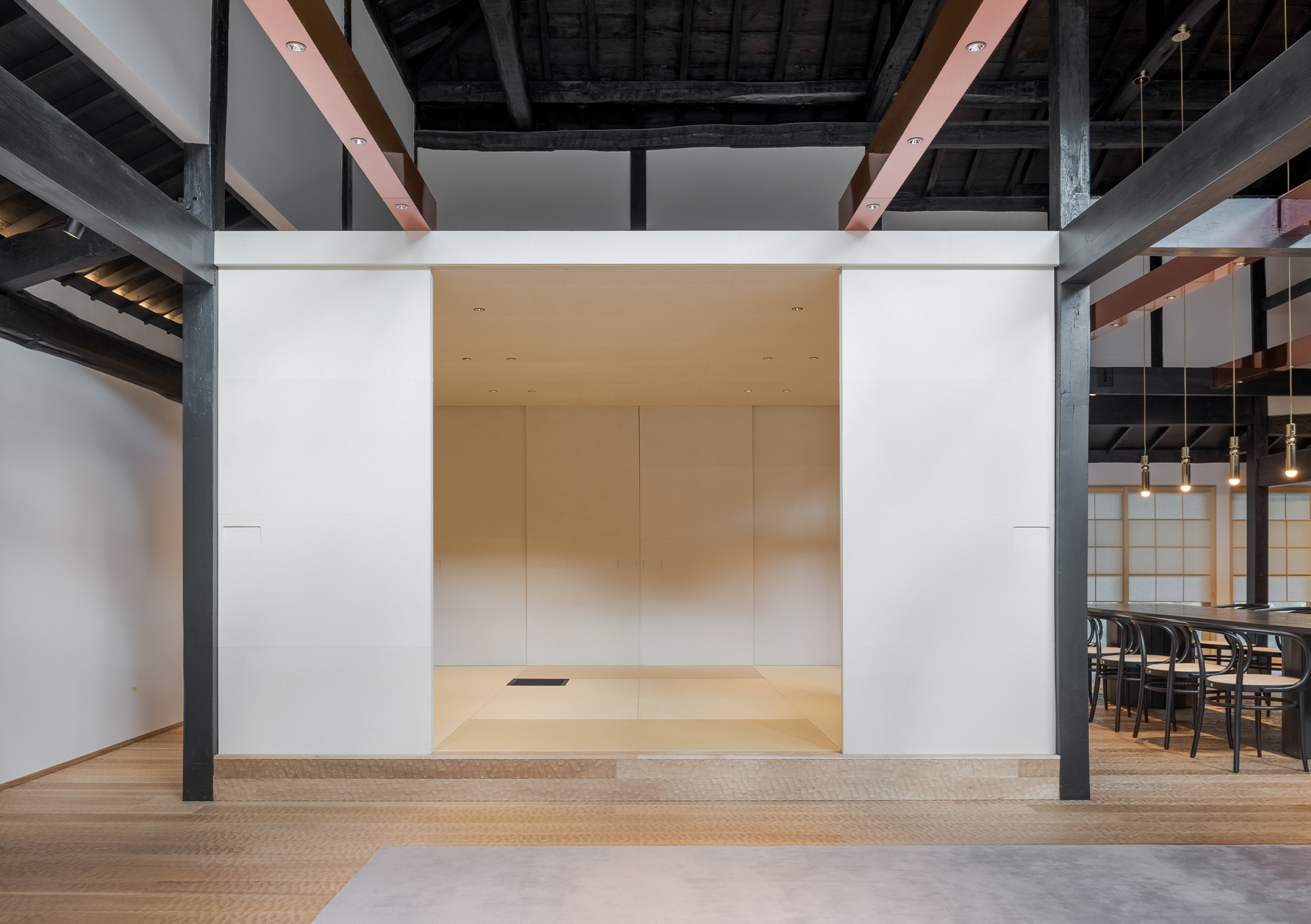 tz (7).jpg tz (7).jpg