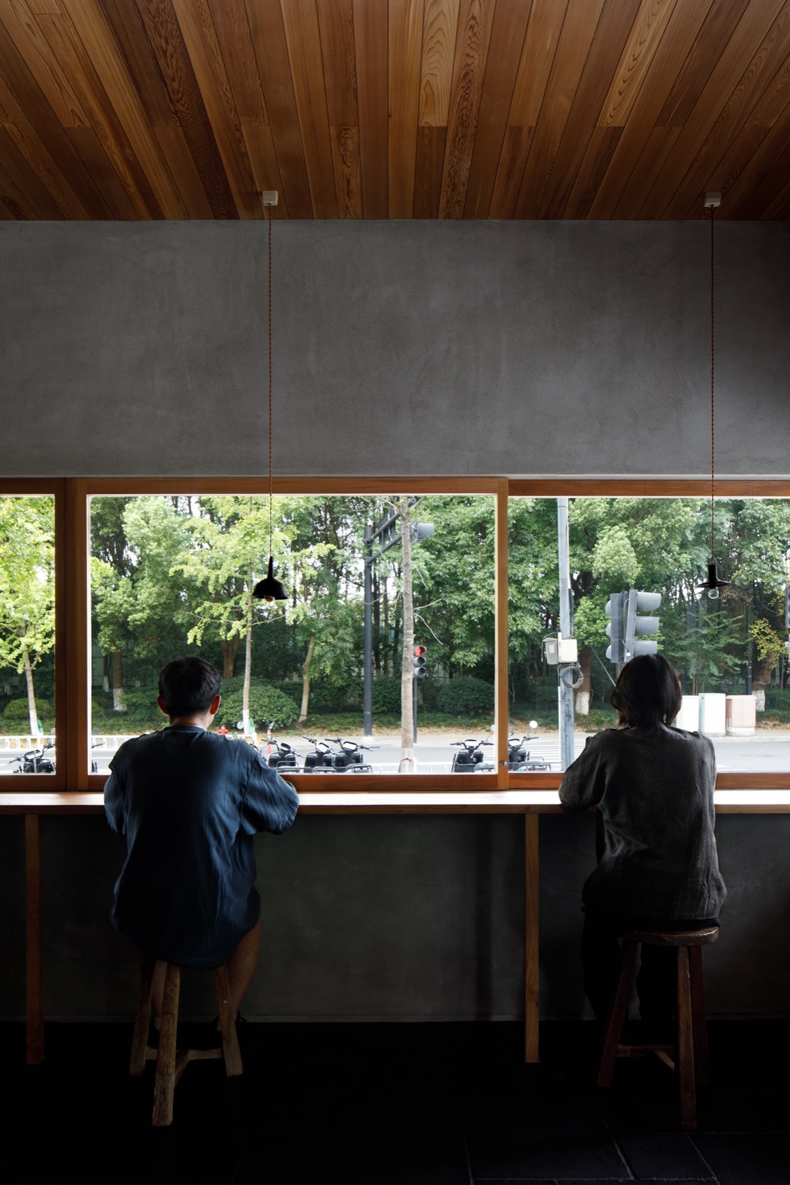 tz (12).jpg tz (12).jpg