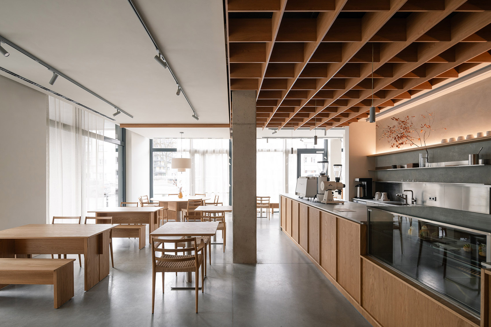 tz (1).jpg tz (1).jpg