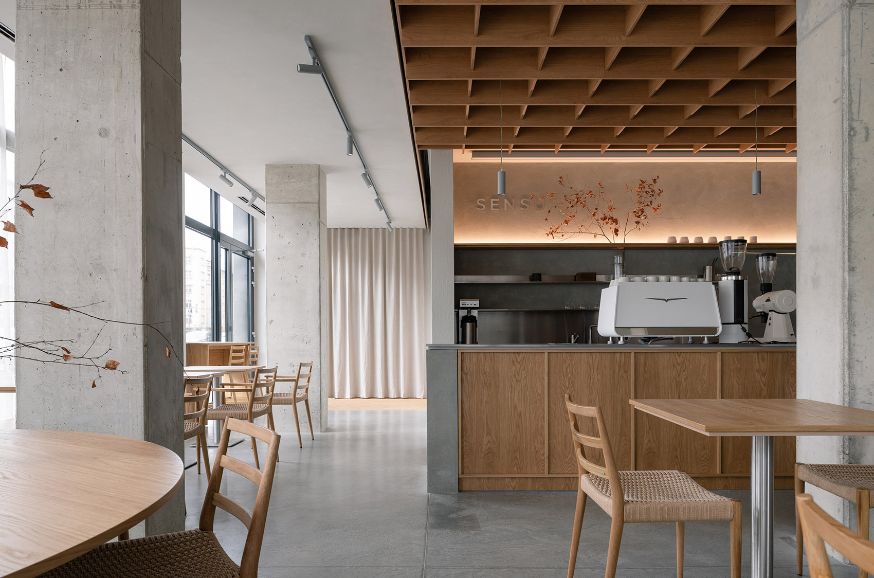 tz (3).jpg tz (3).jpg