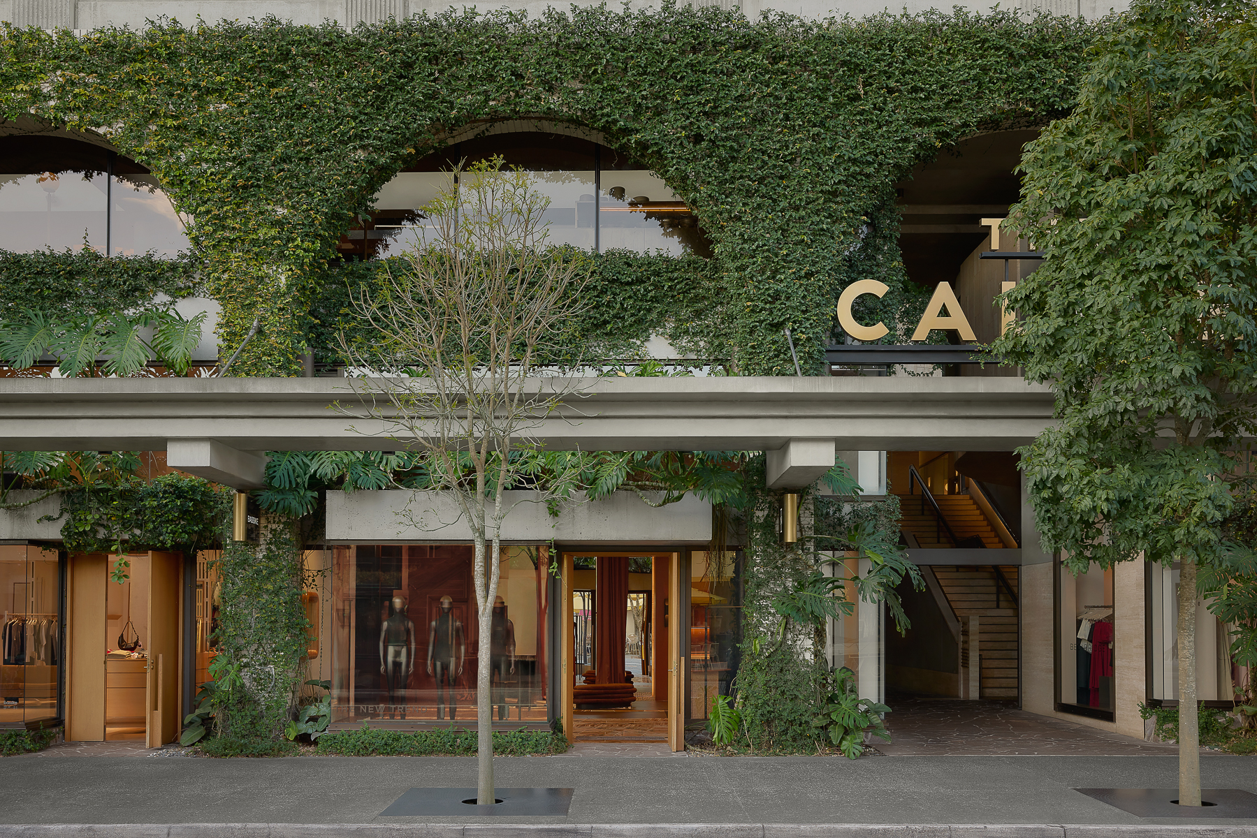 tz (1).jpg tz (1).jpg