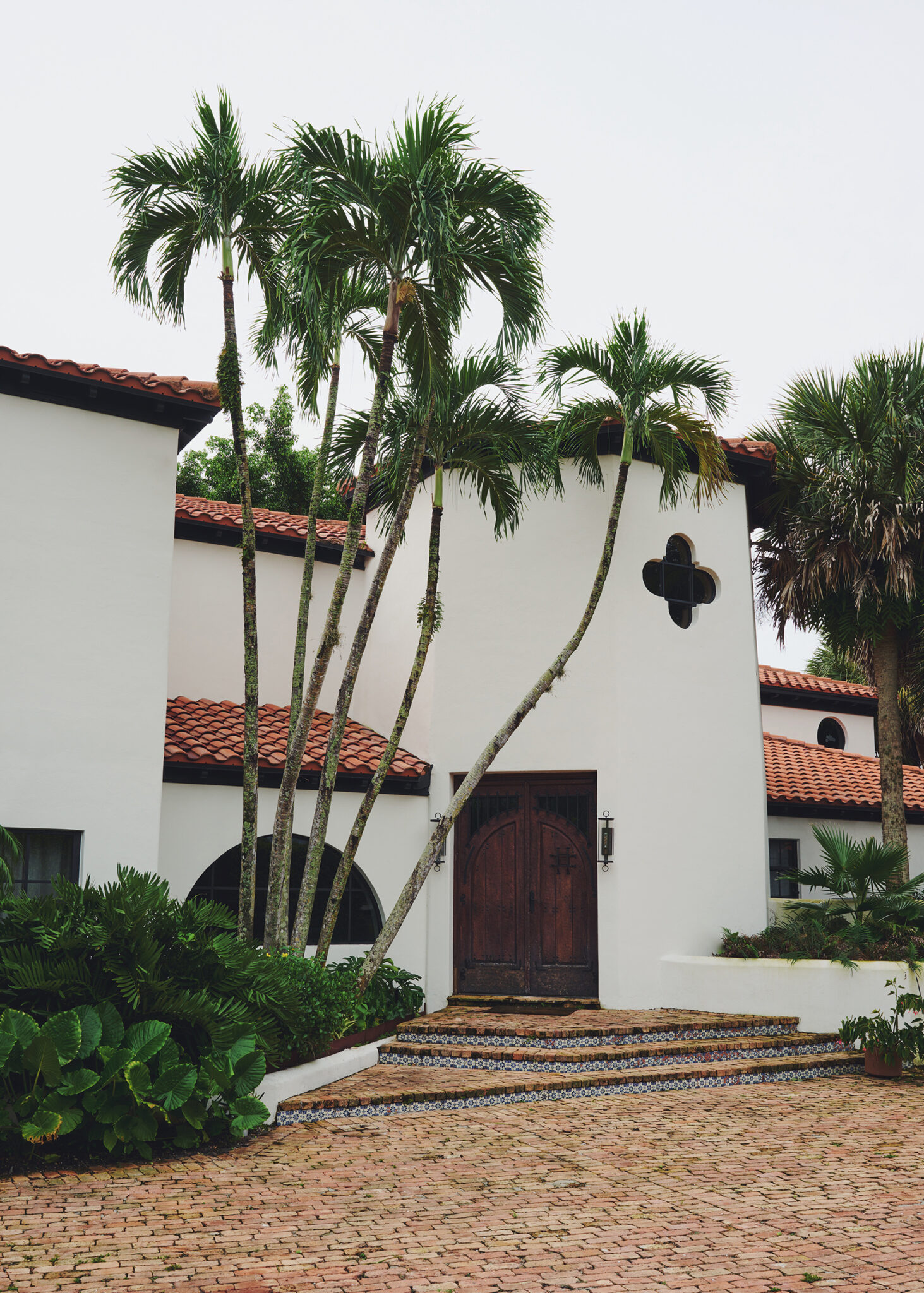 tz (1).jpeg tz (1).jpeg