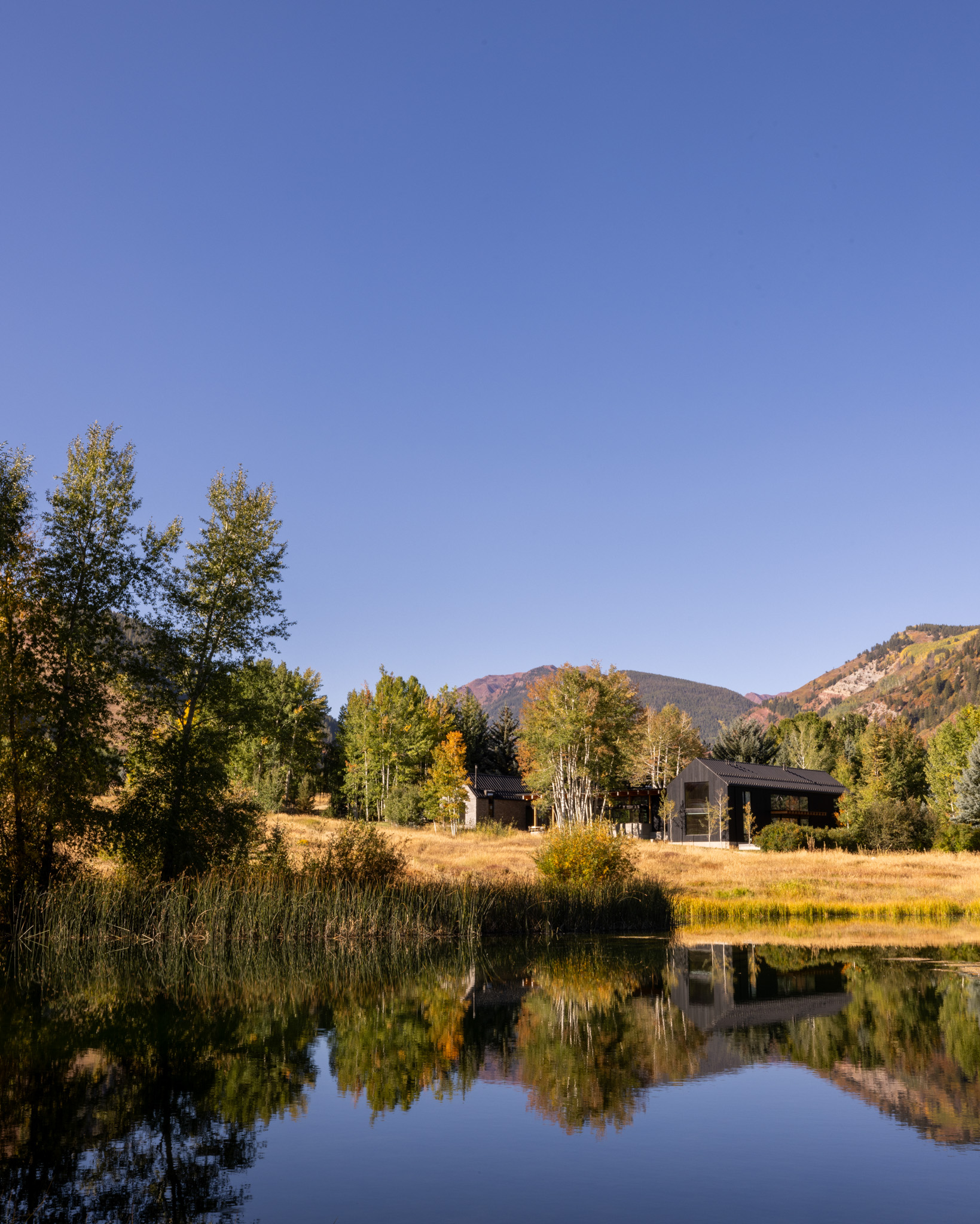 tz (1).jpg tz (1).jpg