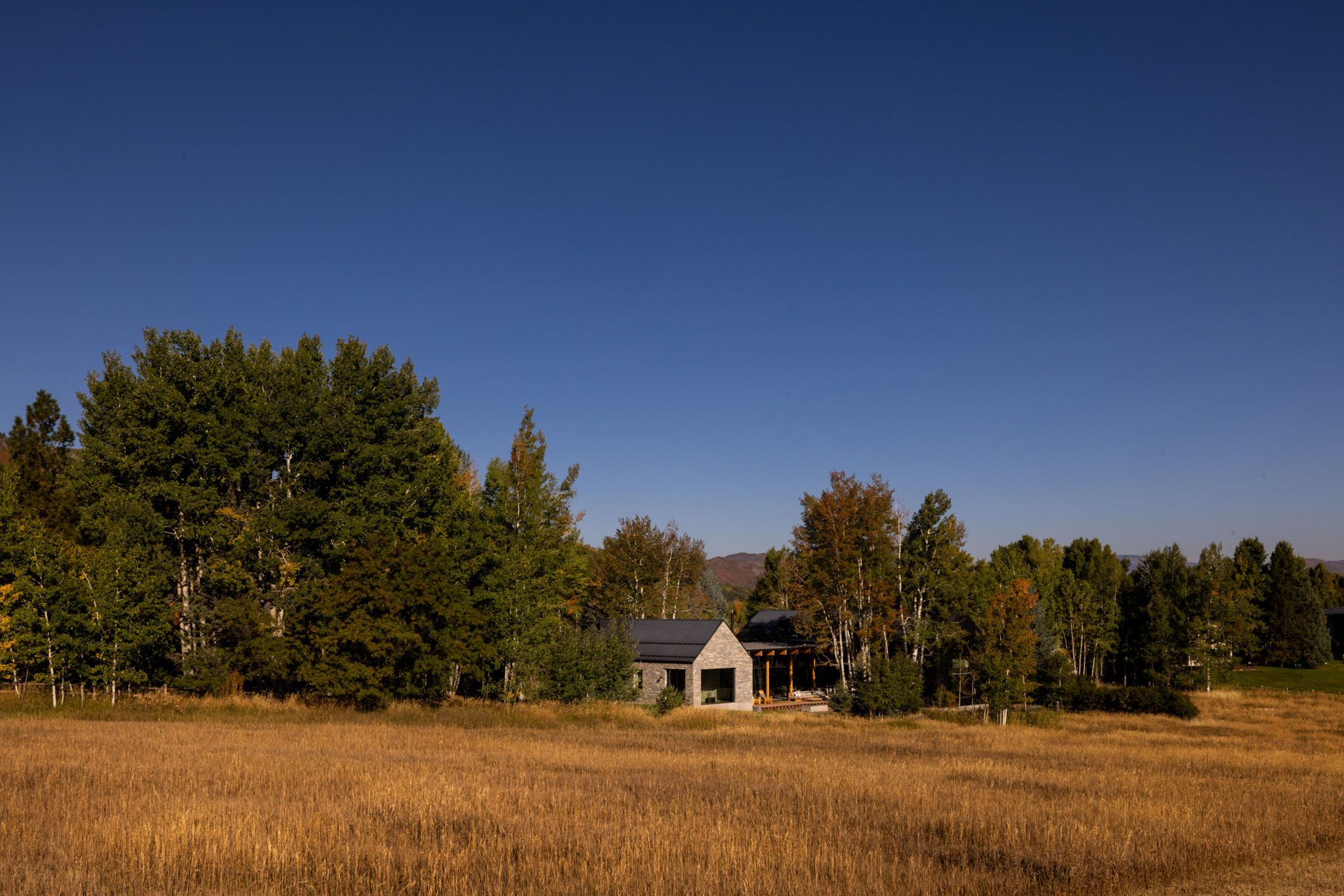 tz (3).jpg tz (3).jpg