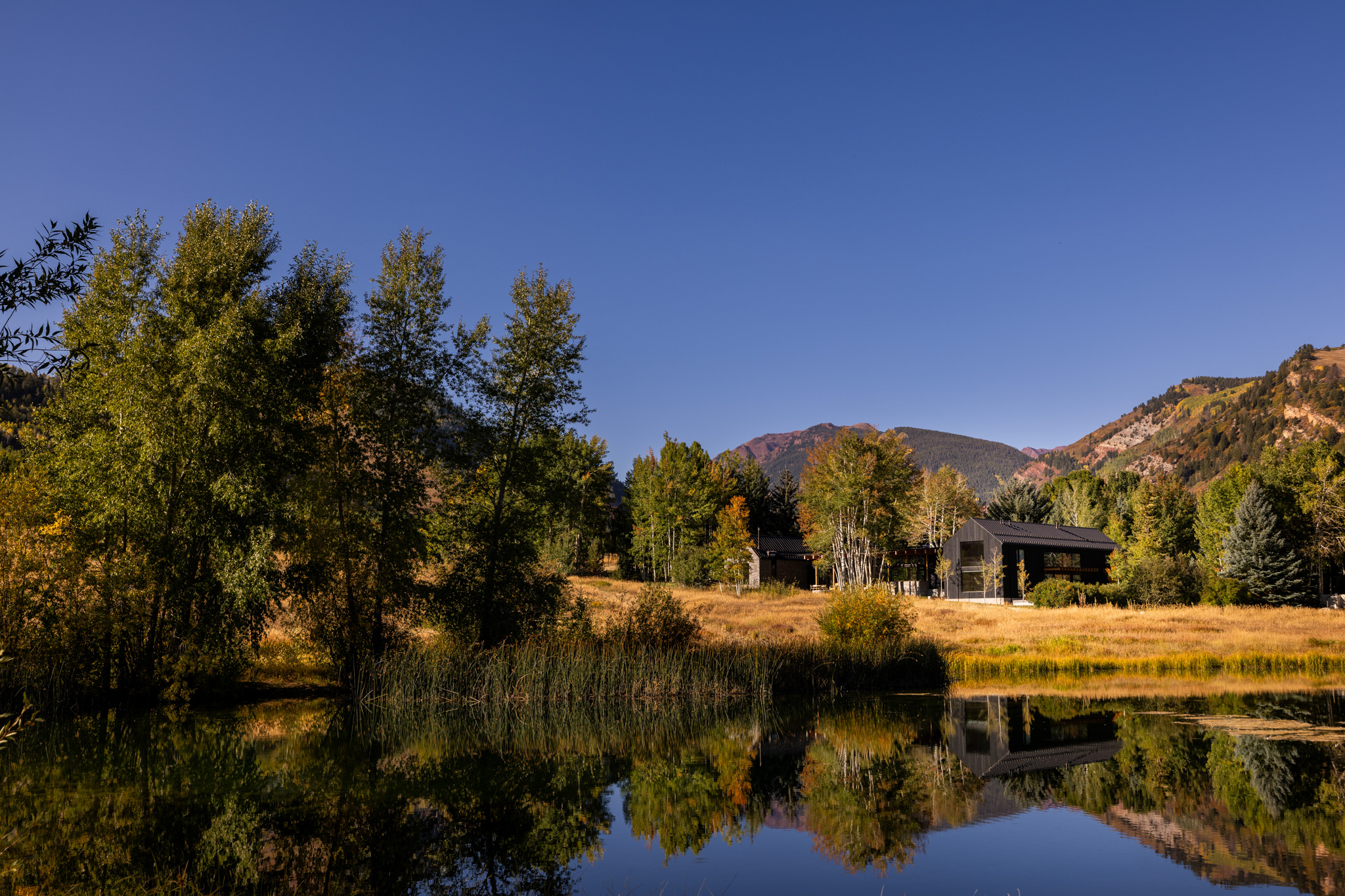 tz (2).jpg tz (2).jpg