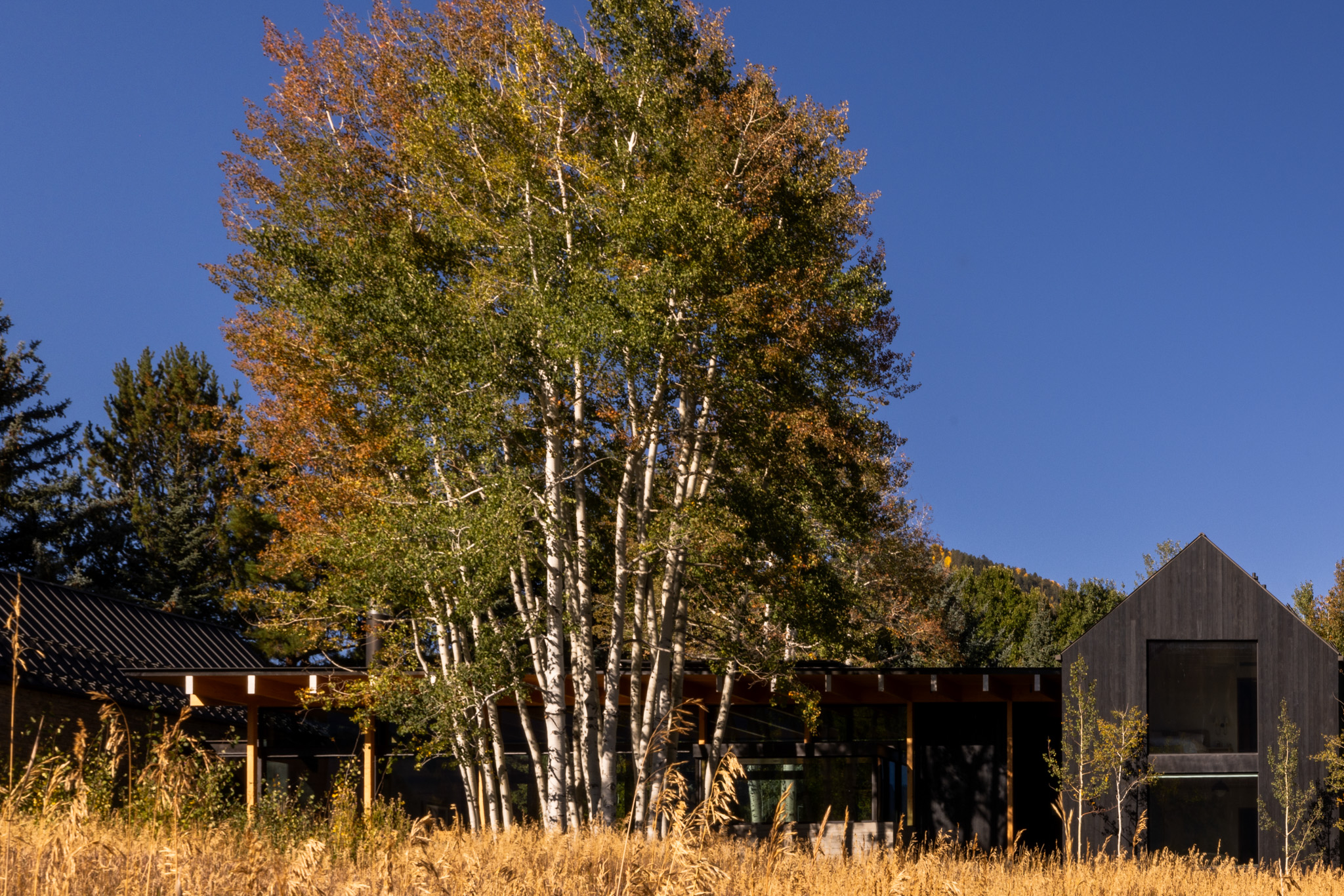 tz (4).jpg tz (4).jpg