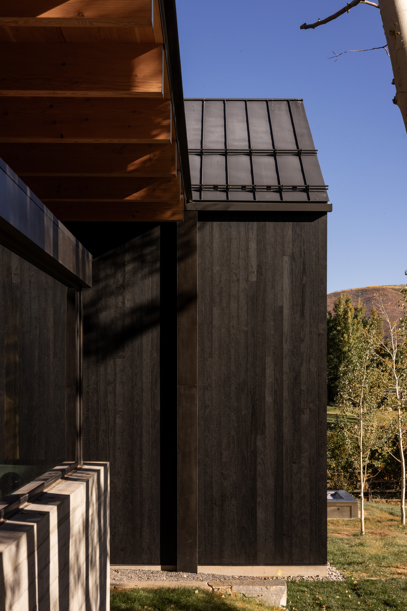 tz (6).jpg tz (6).jpg